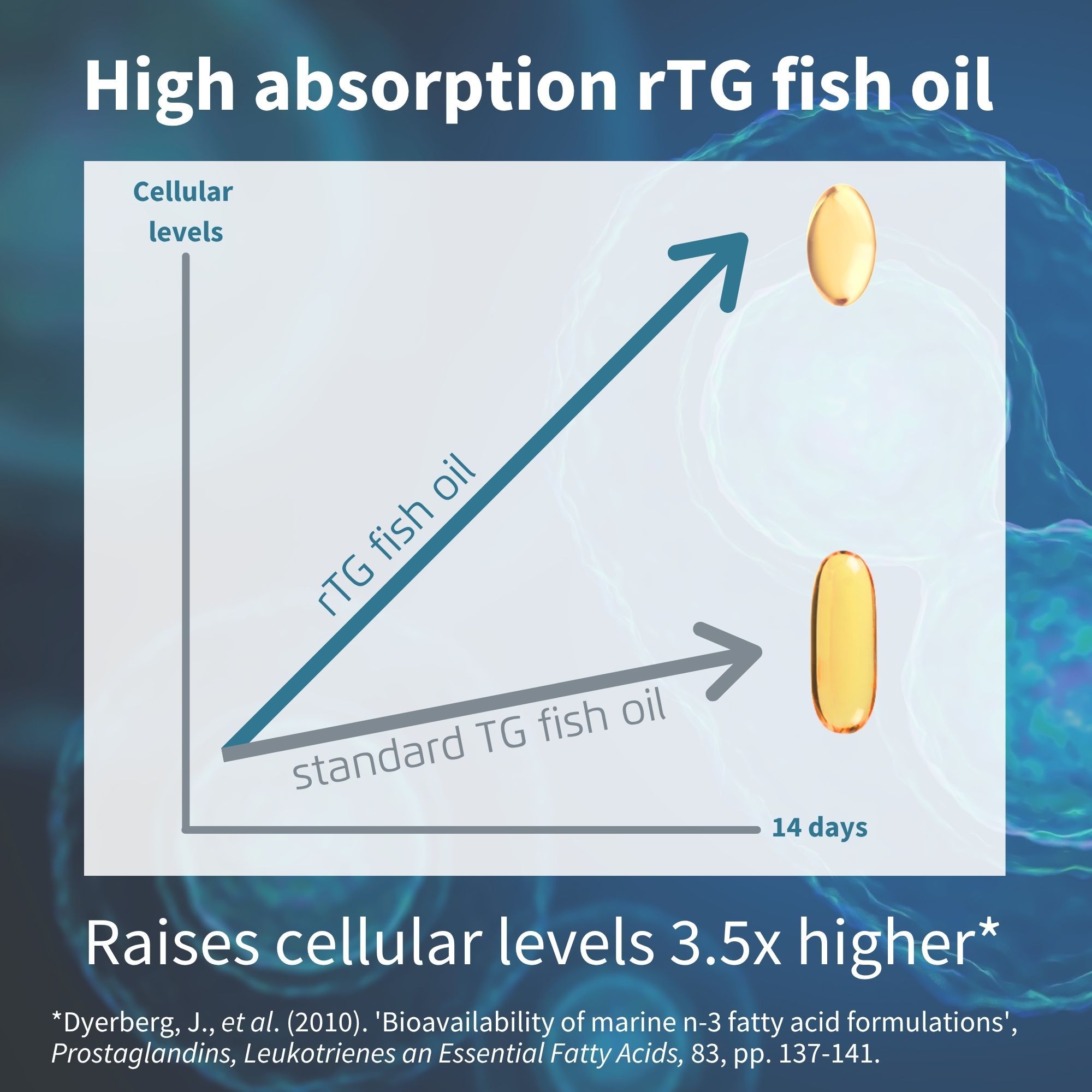 Hohe Absorption von rTG-Fischöl im Vergleich zu Standard-Fischöl auf zellulärer Ebene.
