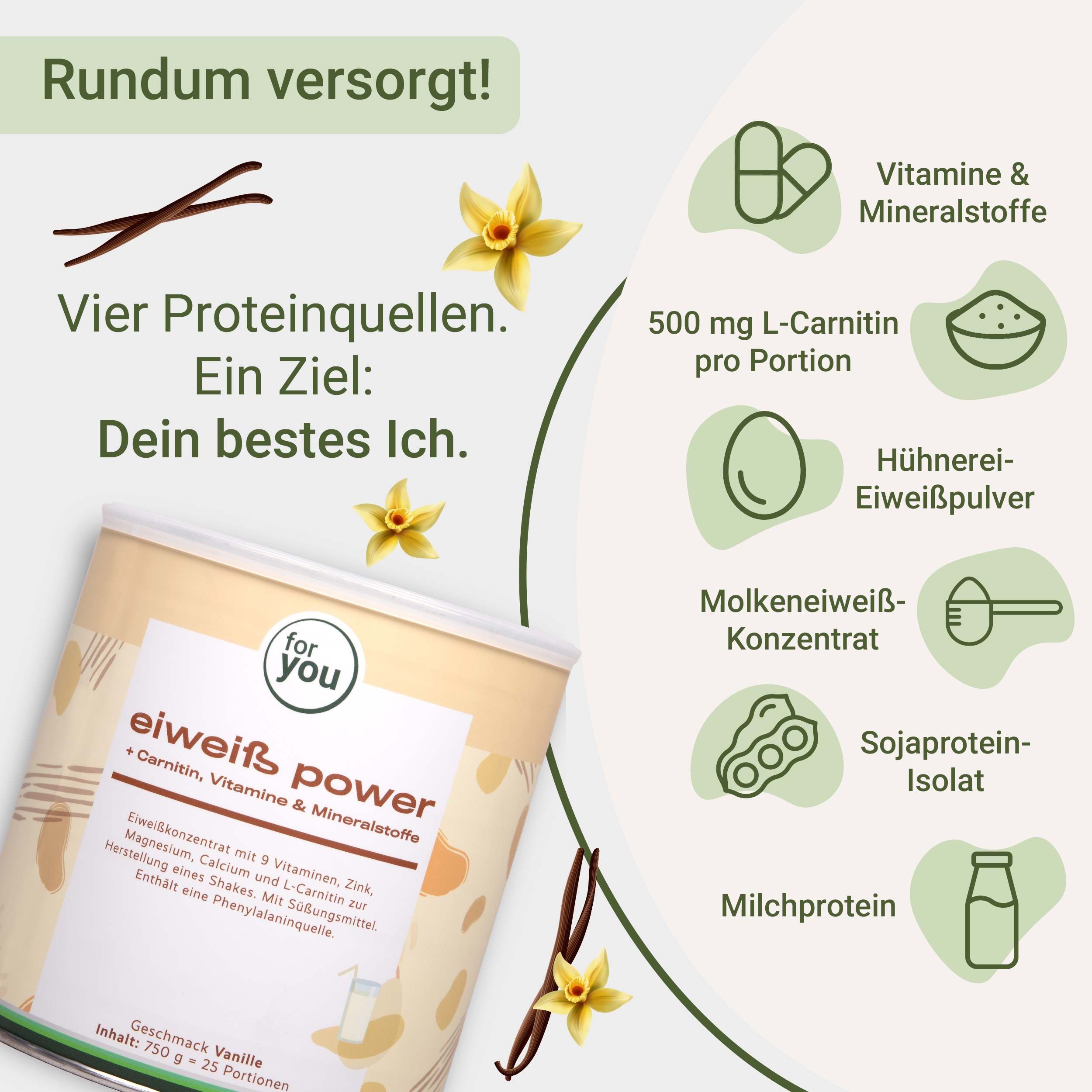Dose Eiweiß Power Vanille mit Symbolen für vier Proteinquellen und L-Carnitin.