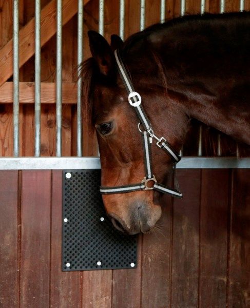 Kratzmatte für Pferd, Kalb, Ziege Schwarz (L60xB40cm)