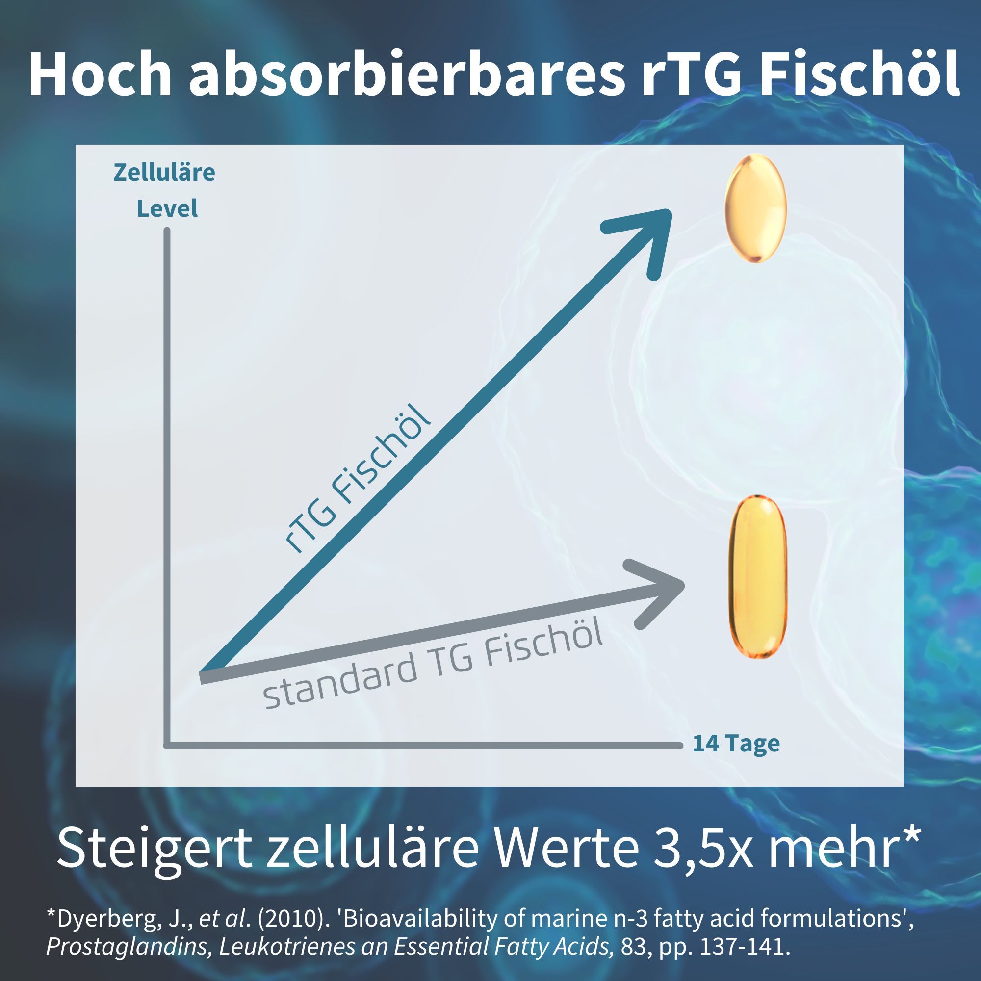 Diagramm zeigt höhere zelluläre Aufnahme von rTG Fischöl im Vergleich zu Standard TG Fischöl.