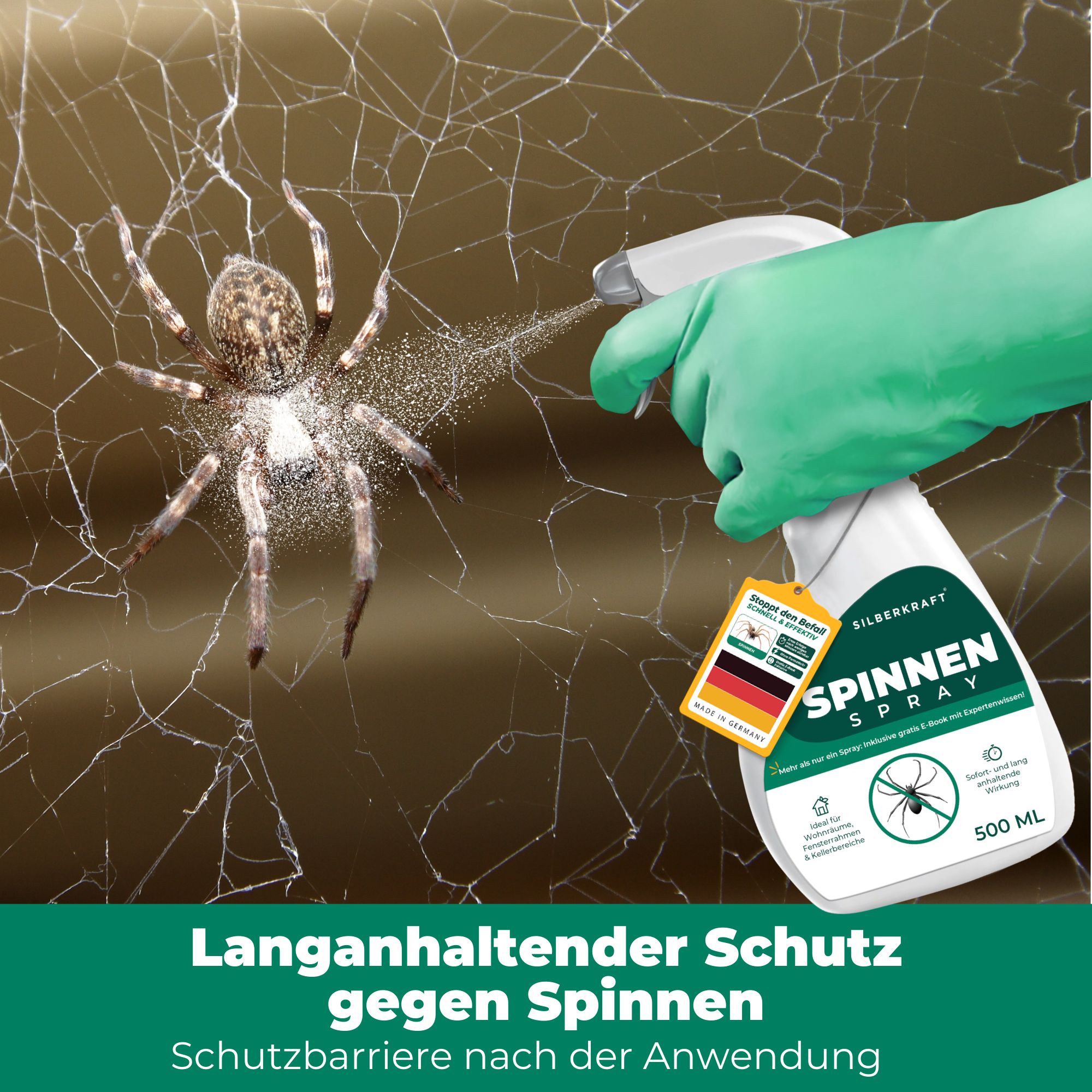 Eine Hand sprüht Spinnenspray auf eine Spinne in einem Netz. Produkt: SILBERKRAFT Spinnenspray, 500 ml.