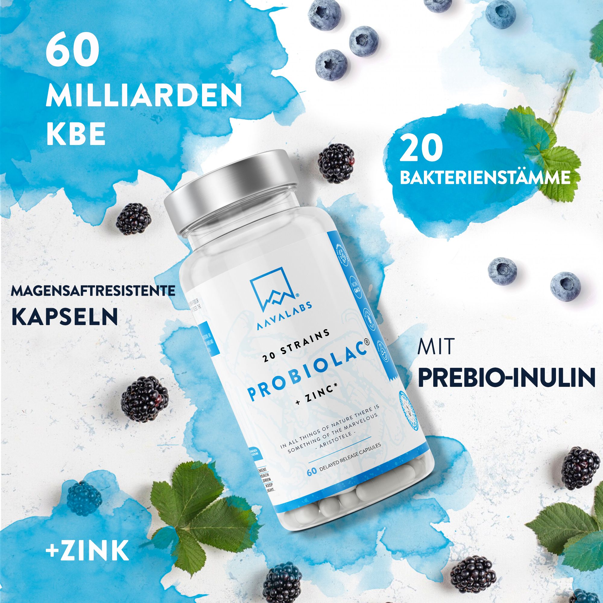 Flasche mit Kapseln, Blaubeeren und Brombeeren. AAVALABS, PROBIOLAC + ZINC, 20 Bakterienstämme. Mit Prebio-Inulin.