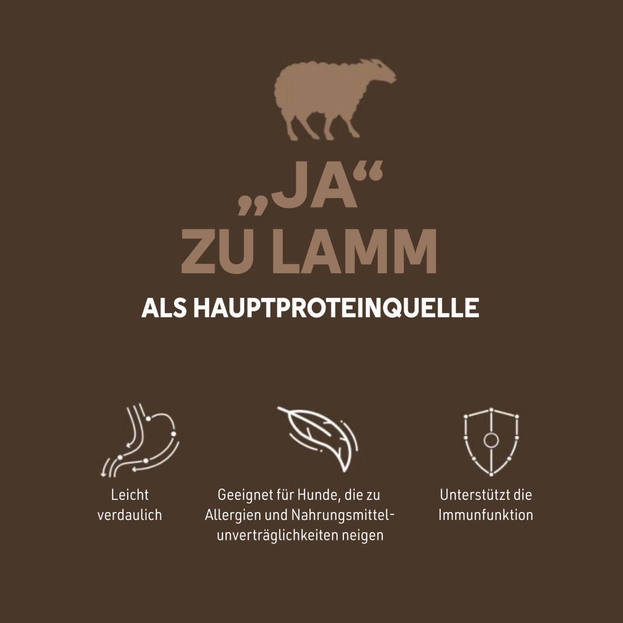 Brauner Hintergrund mit Text: Ja zu Lamm als Hauptproteinquelle. Symbole: leicht verdaulich, geeignet für Allergiker, unterstützt Immunfunktion.