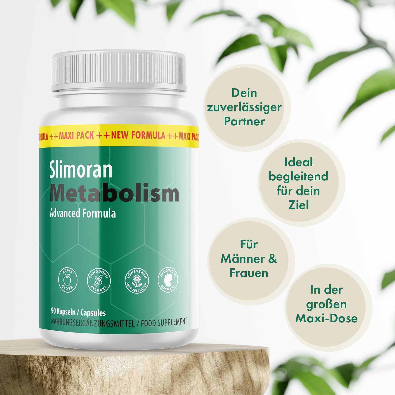 Weißes Pillenbehälter mit grünem Etikett. Aufschrift: Slimoran Metabolism, 90 Kapseln, Nahrungsergänzungsmittel. Hintergrund mit Blättern.