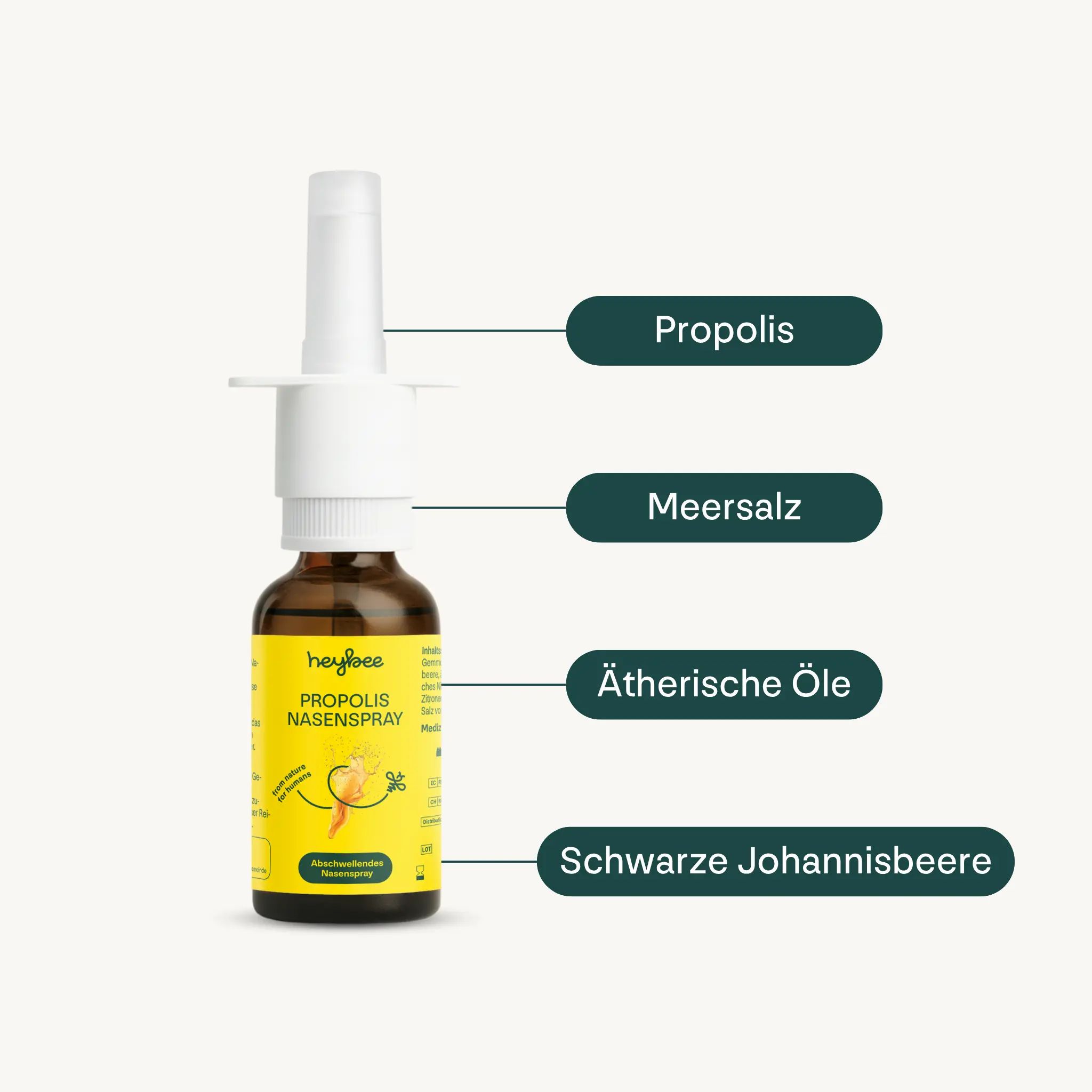 Braune Glasflasche mit weißem Sprühkopf. Text: Heybee Propolis Nasenspray. Inhaltsstoffe: Propolis, Meersalz, Ätherische Öle, Schwarze Johannisbeere.