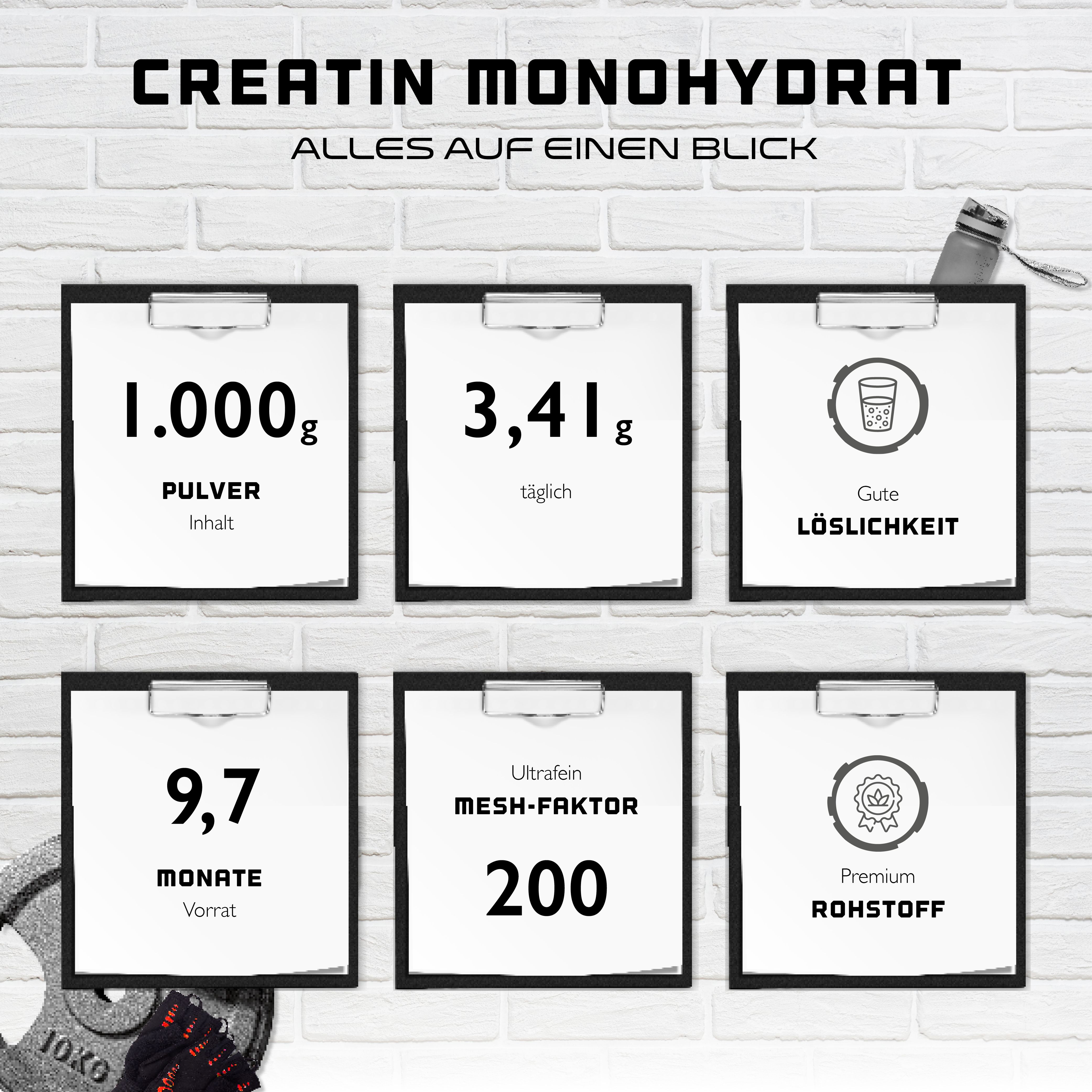 Infografik mit sechs Feldern. Enthält Informationen zu Creatin Monohydrat: 1.000g Pulver, 3,41g täglich, gute Löslichkeit.