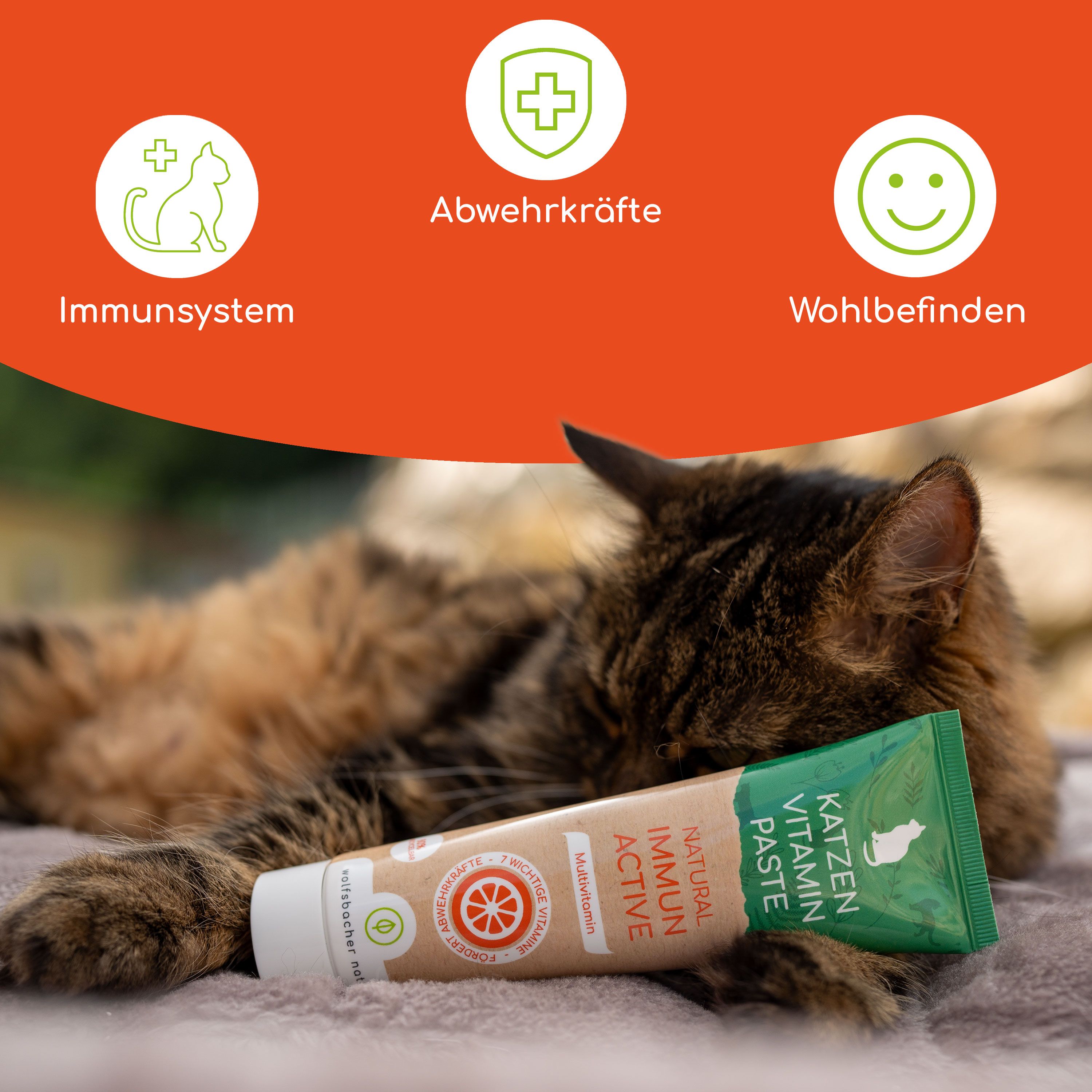 Katzen Vitamin Paste mit Icons für Immunsystem, Abwehrkräfte und Wohlbefinden.