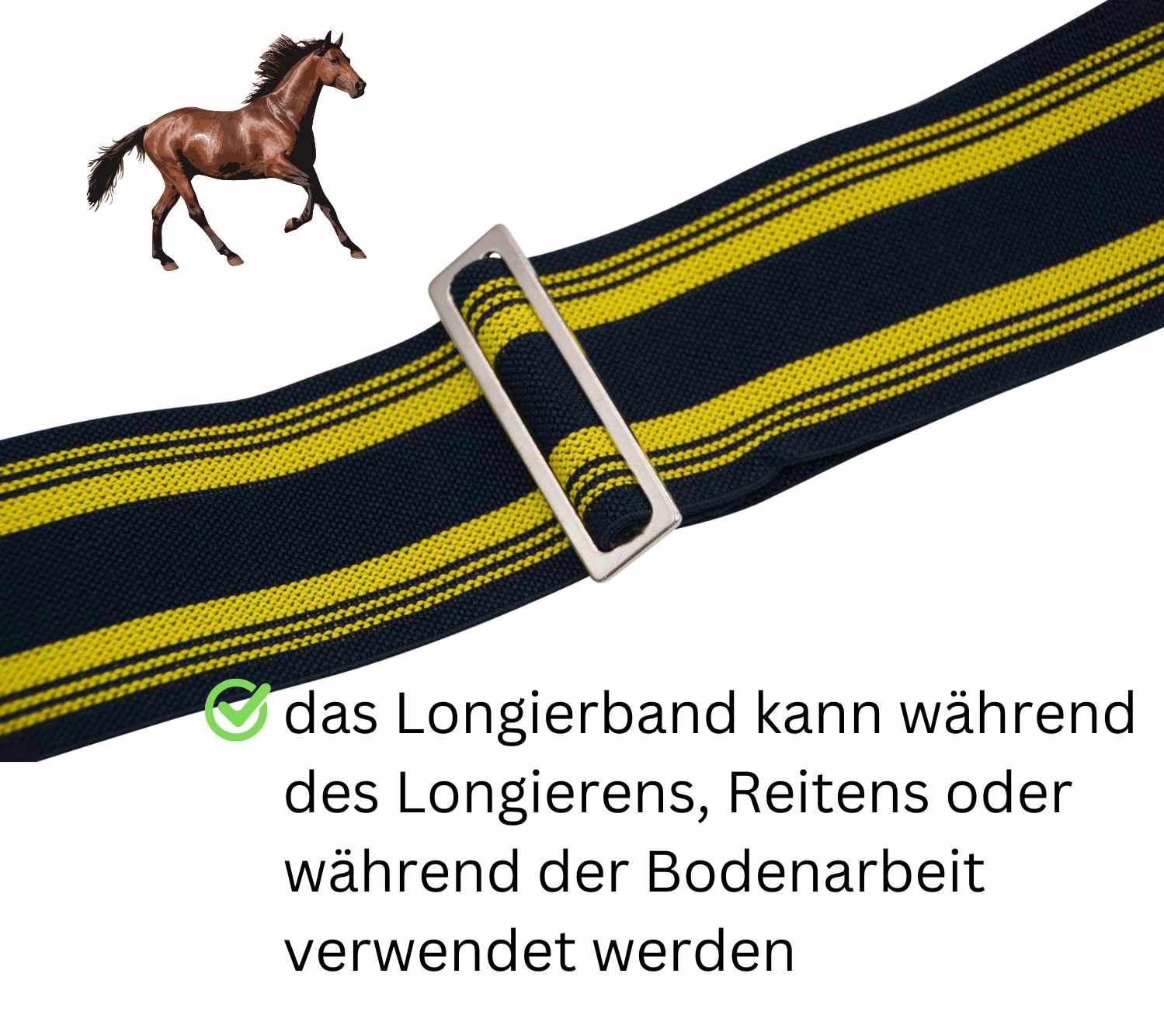 Blau-gelbes Longierband mit Metallschließe. Streifenmuster. Text: Das Longierband kann während des Longierens, Reitens oder während der Bodenarbeit verwendet werden.