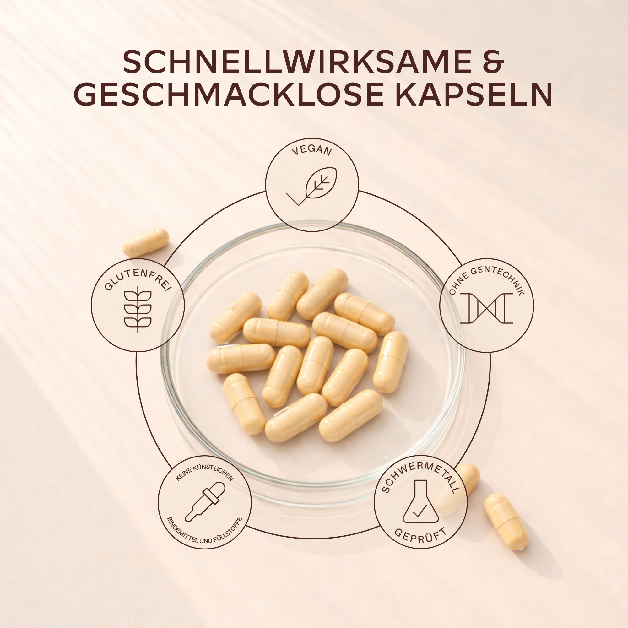 Aavalabs Folsäure Komplex Kapseln auf einer Petrischale mit Symbolen.