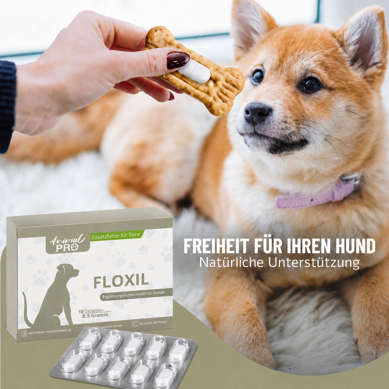 Hundewelpe erhält FLOXIL Tablette auf einem Hundekeks. Verpackung im Vordergrund.