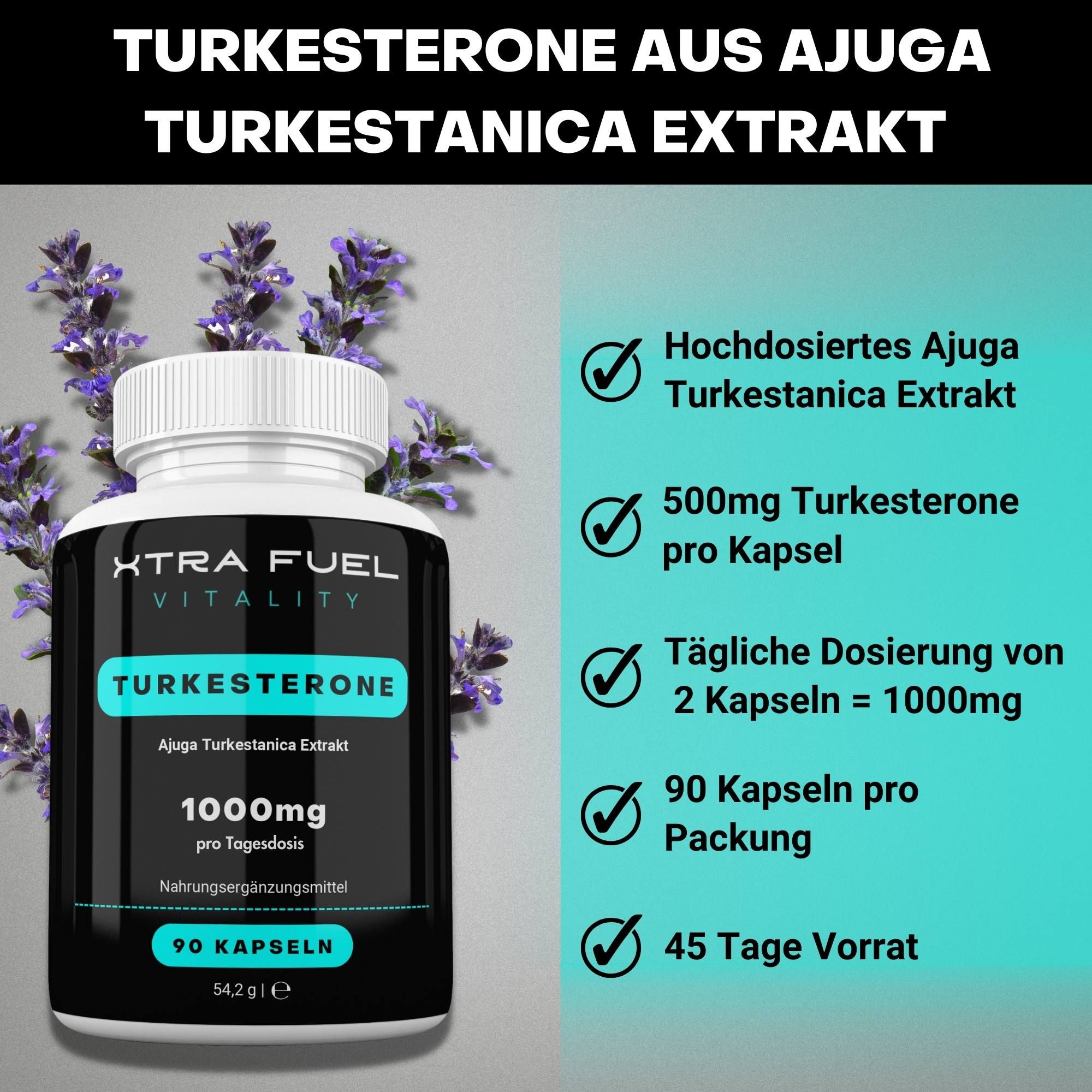XTRA FUEL Turkesterone Kapseln