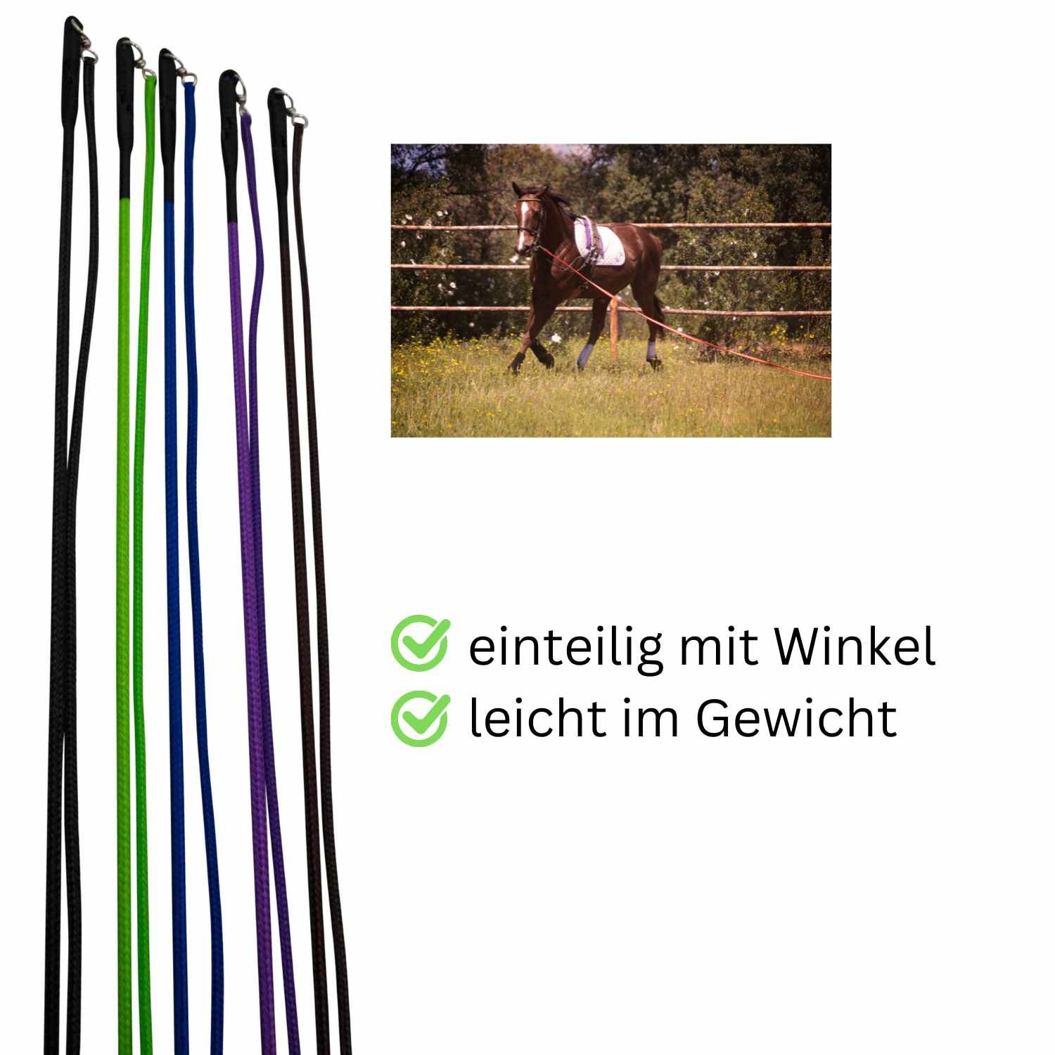 Mehrfarbige Longierpeitschen mit Text: einteilig mit Winkel, leicht im Gewicht. Bild eines Pferdes beim Longieren.
