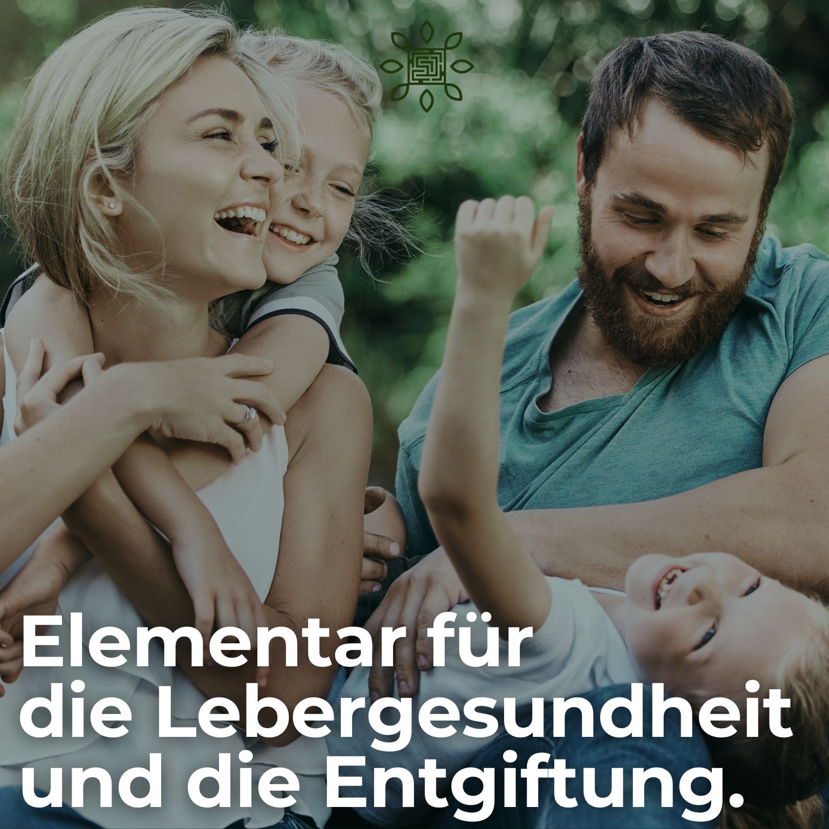 SJ-nutrition® SJ-liver - gesunde Leber