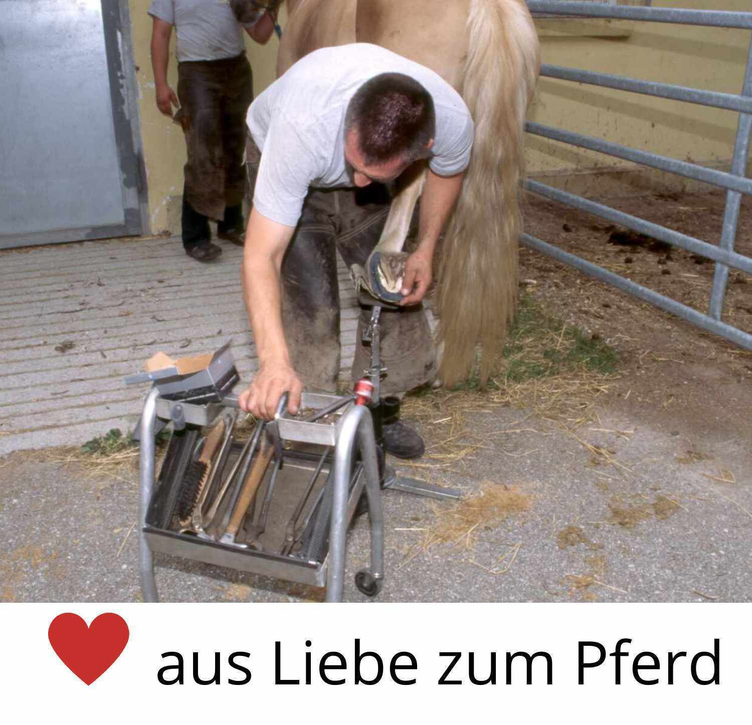 Person bearbeitet einen Huf. Werkzeuge auf einem Wagen. Text: aus Liebe zum Pferd.