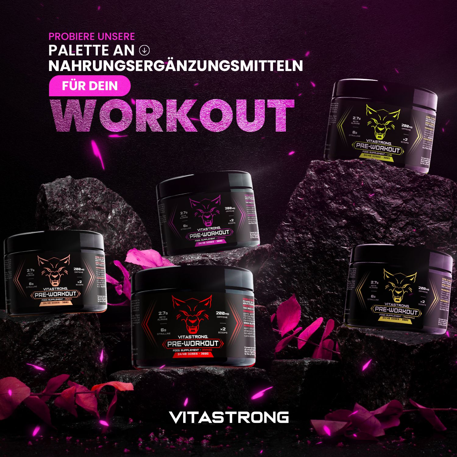 Mehrere Dosen Vitastrong Pre-Workout, Beeren. Auf Steinen platziert. Wolf-Logo und rosa Schrift.