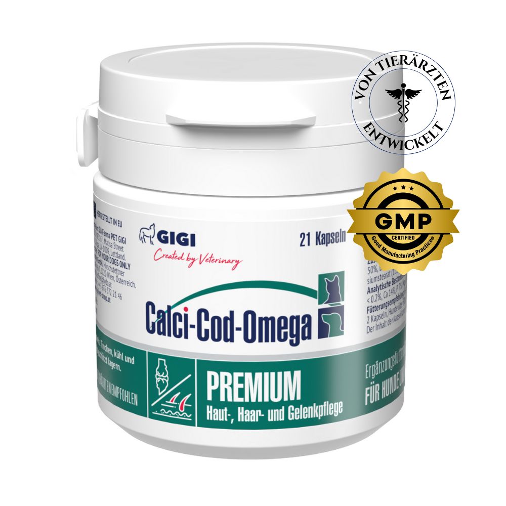 Weiße Dose mit GIGI Calci-Cod-Omega Kapseln. Aufschrift: Premium Haut-, Haar- und Gelenkpflege. Siegel: Von Tierärzten entwickelt, GMP zertifiziert.