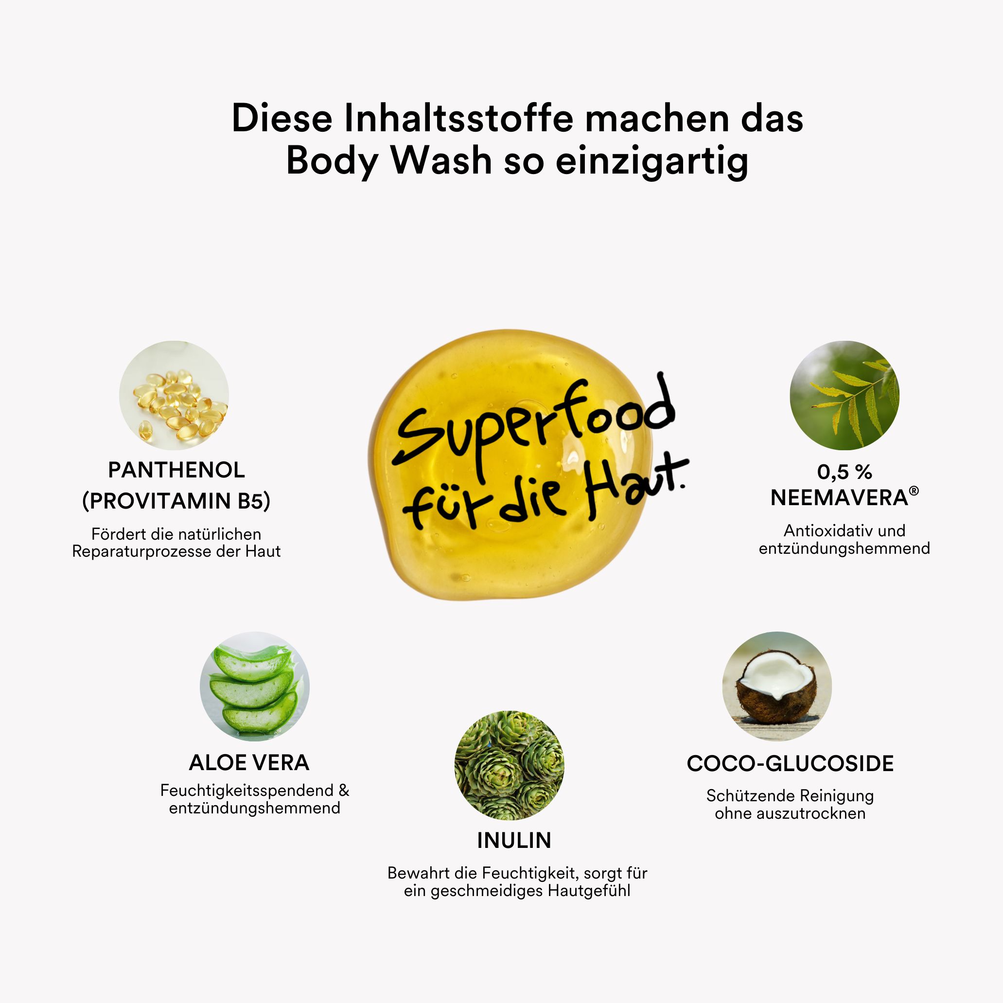 Grafik mit Inhaltsstoffen: Panthenol, Aloe Vera, Inulin, Coco-Glucoside, NeemAvera. Text: Superfood für die Haut.