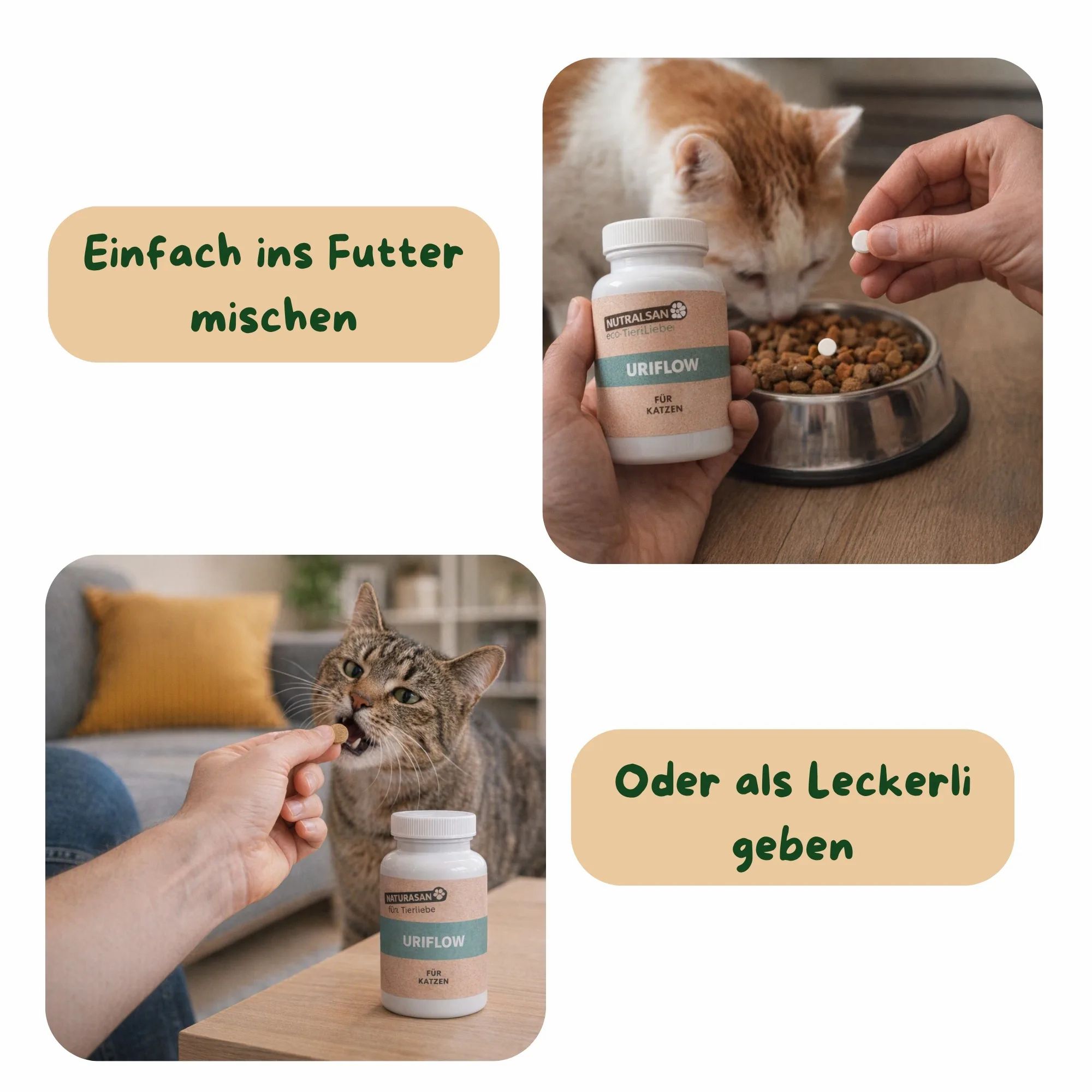 ANIMALSAN Uriflow für Katzen: Anwendungshinweise. Mischen ins Futter oder als Leckerli geben. Dose und Katze sind sichtbar.