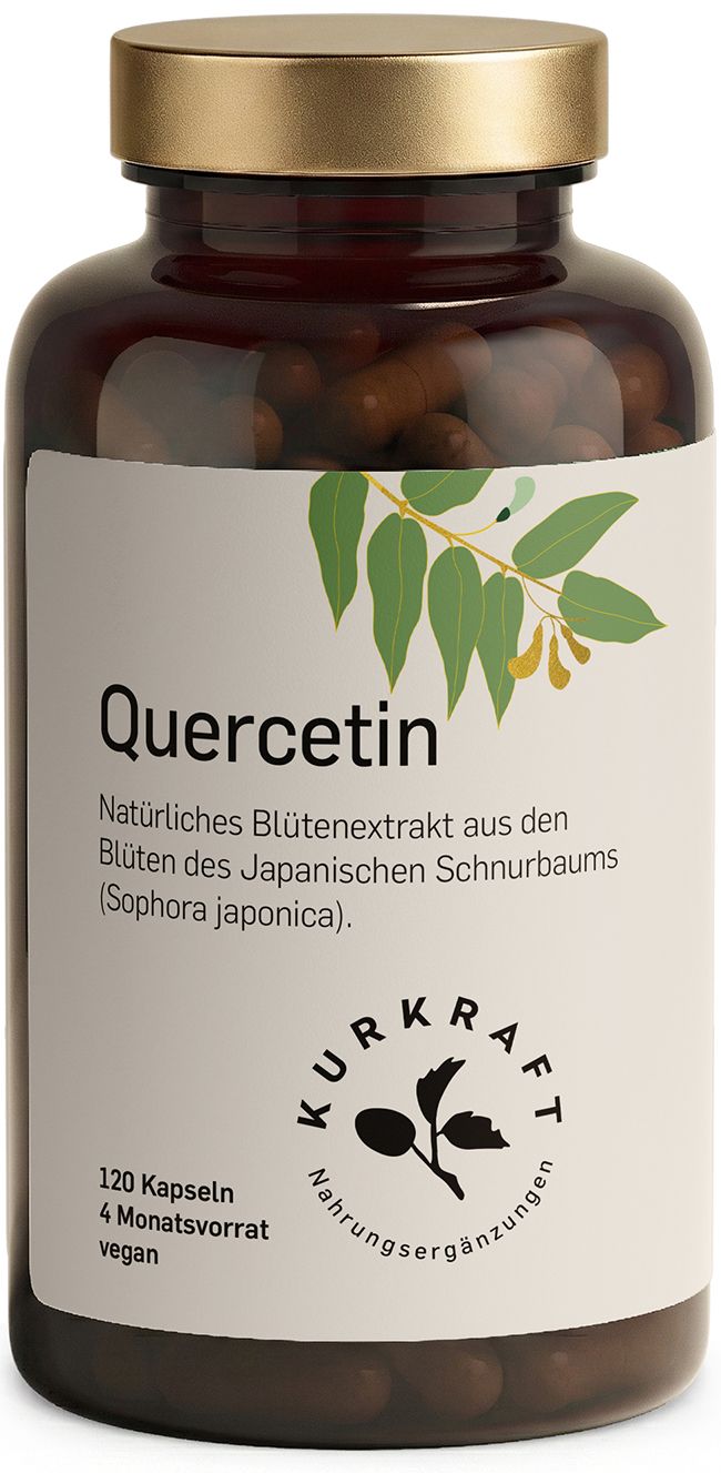 Braune Glasflasche mit "Quercetin" Kapseln. "Kurkraft" Logo und Produktinformationen sind sichtbar. 120 Kapseln, 4 Monatsvorrat, vegan.