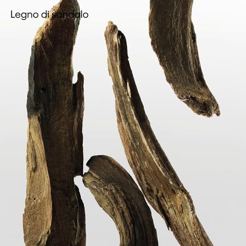 Vier Stücke Sandelholz. Dunkelbraune, längliche Holzstücke mit rauer Oberfläche.