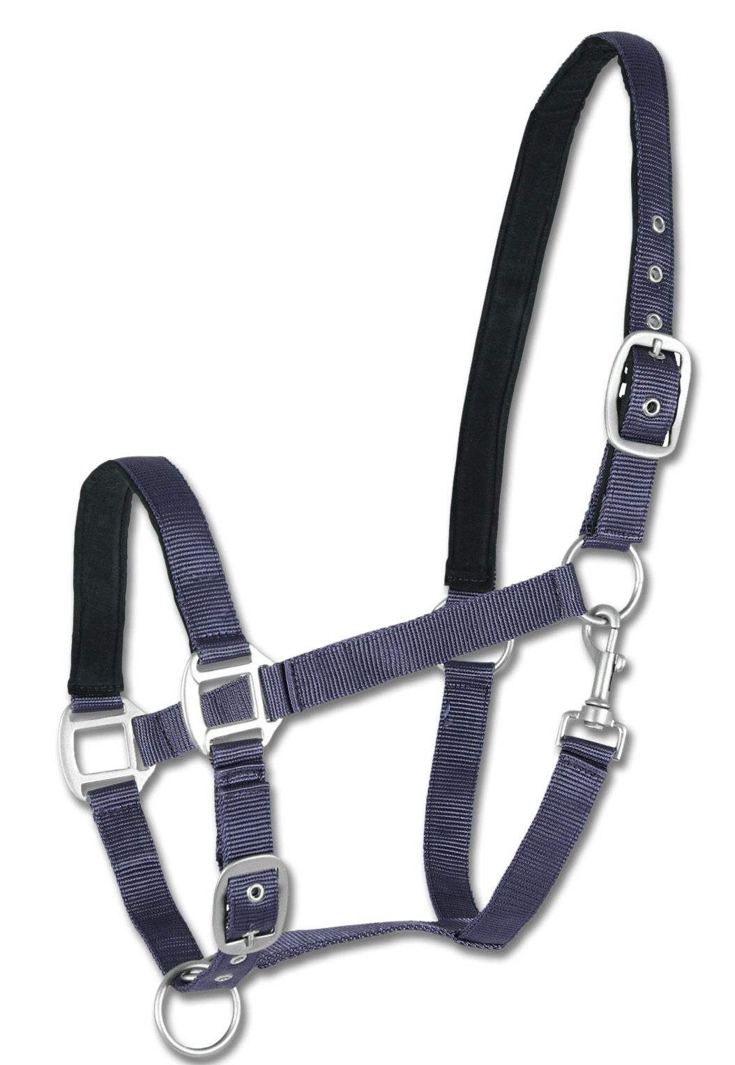 Marineblaues Nylonhalfter mit silberfarbenen Schnallen. Für Pferde.