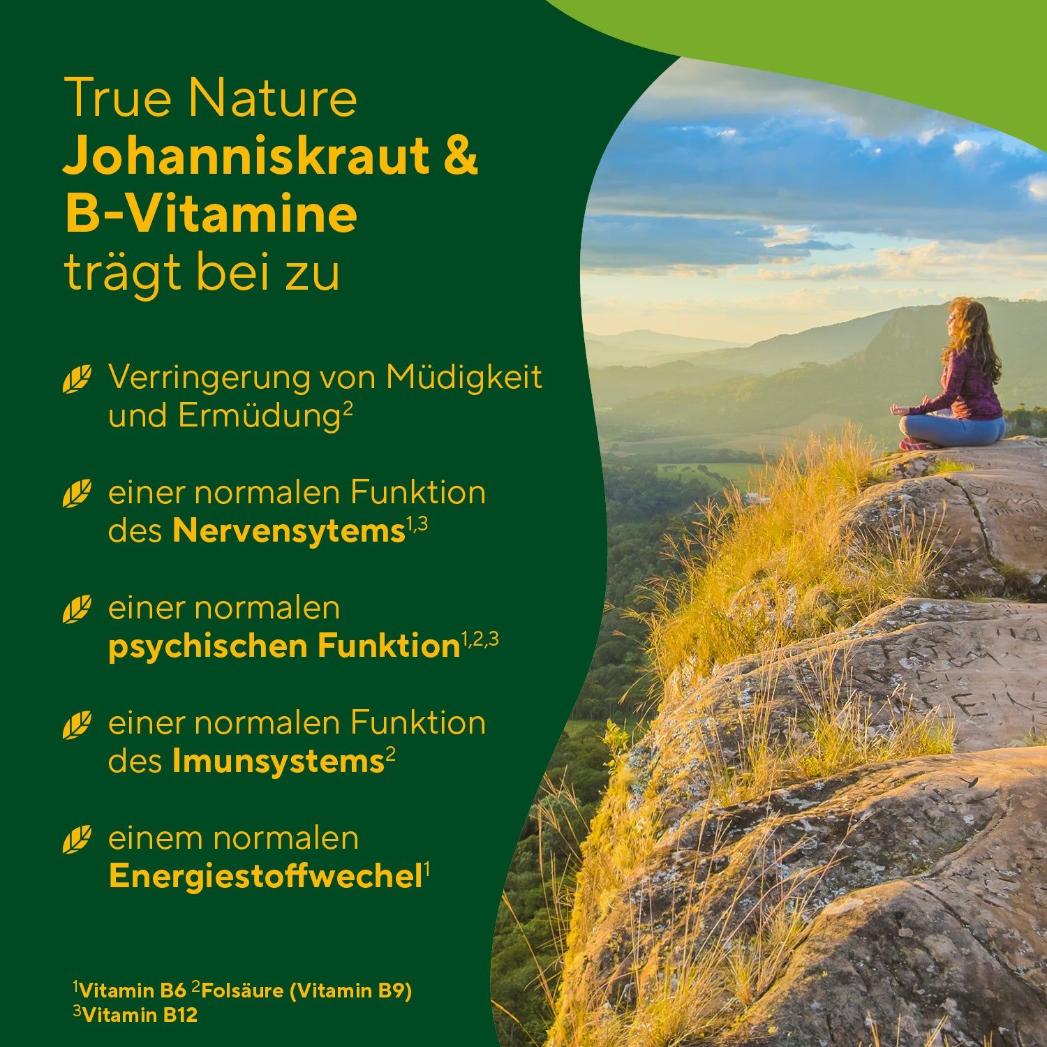 Grüner Hintergrund mit Text und Landschaft. Text: True Nature Johanniskraut & B-Vitamine trägt bei zu... (Aufzählung). Frau sitzt auf Felsen.