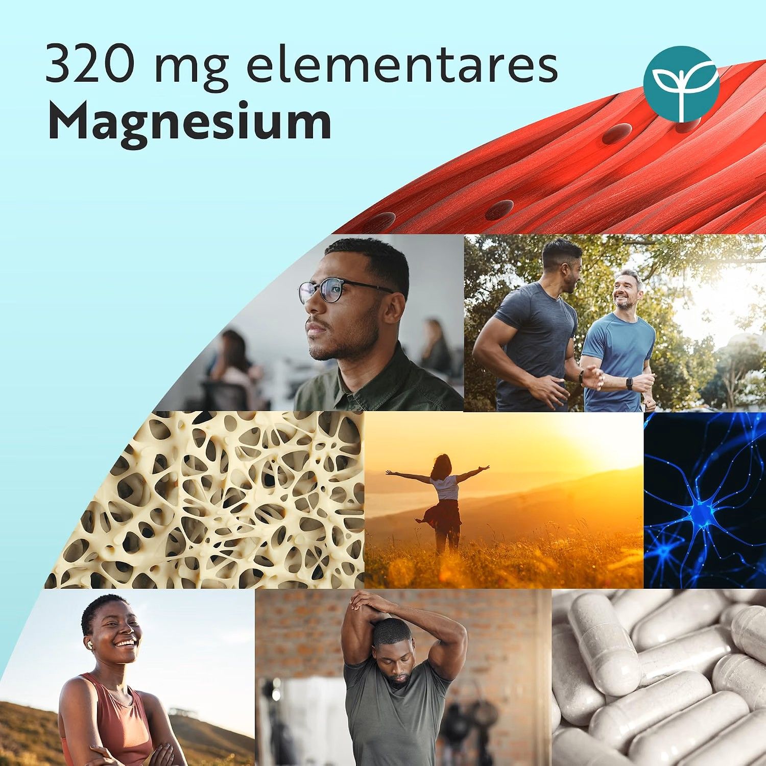 Nutravita Magnesiumbisglycinat