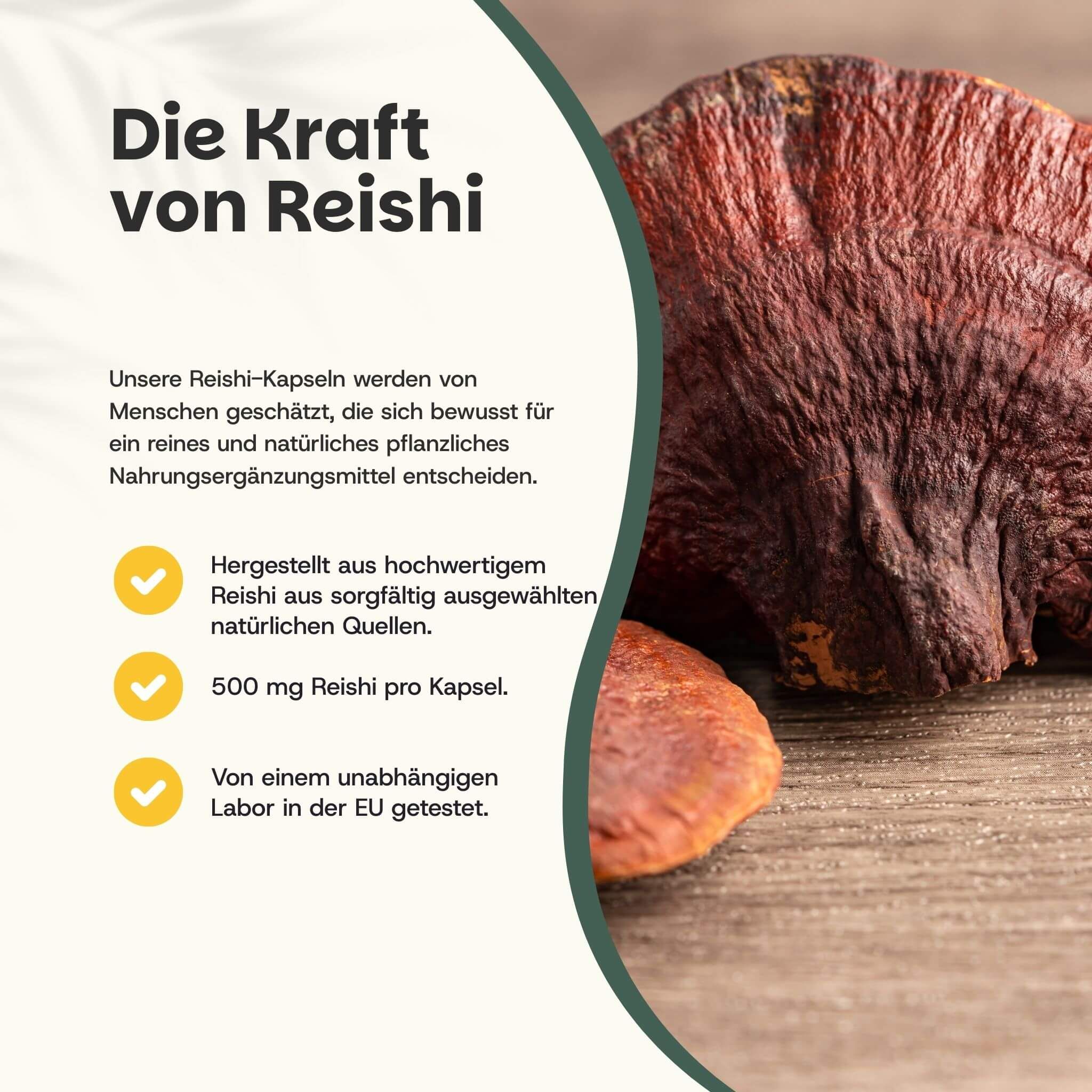 Text: Die Kraft von Reishi. 500 mg Reishi pro Kapsel. Von unabhängigem Labor getestet.
