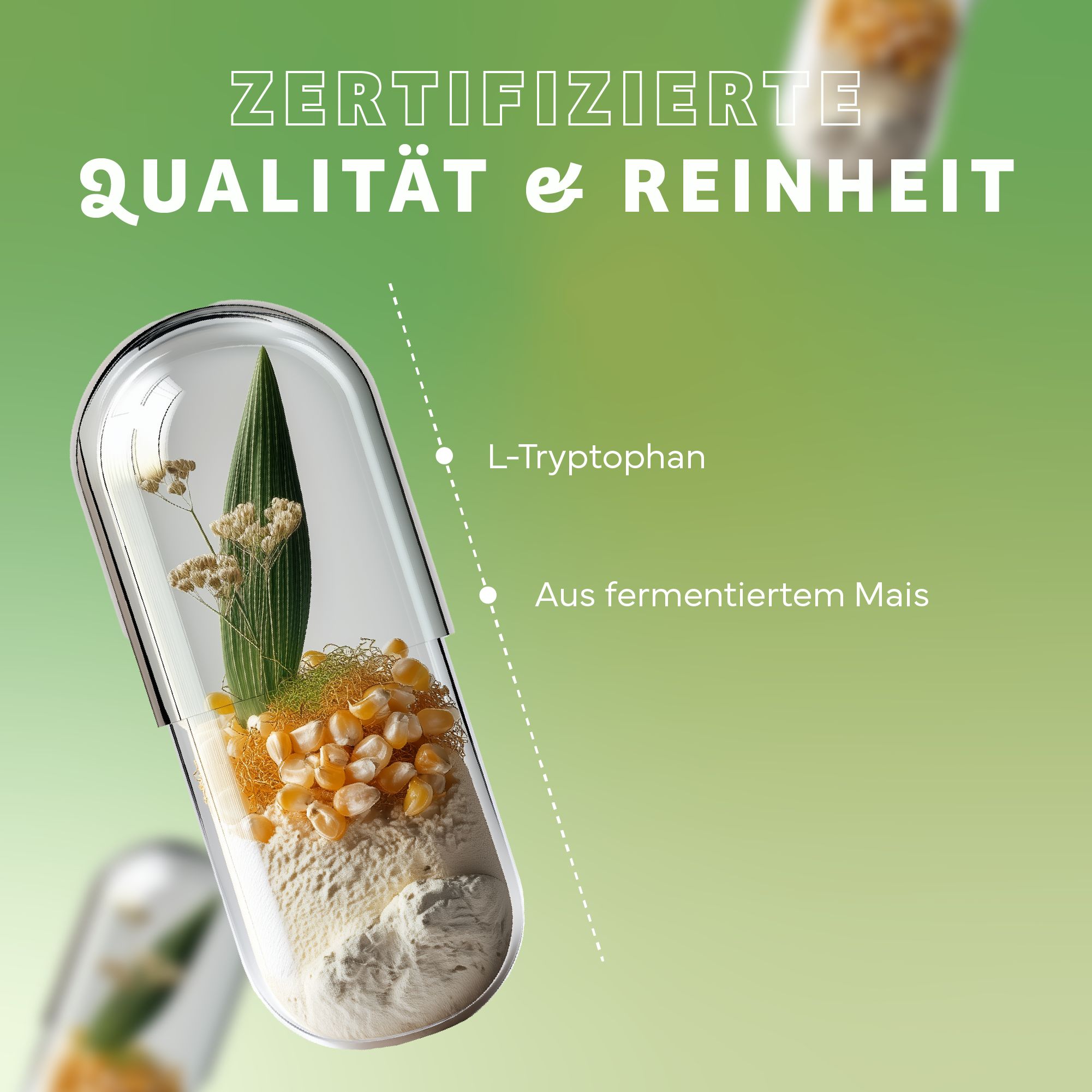 Transparente Kapsel mit Inhalt: Mais, Pflanzen. Text: Zertifizierte Qualität & Reinheit, L-Tryptophan, Aus fermentiertem Mais.