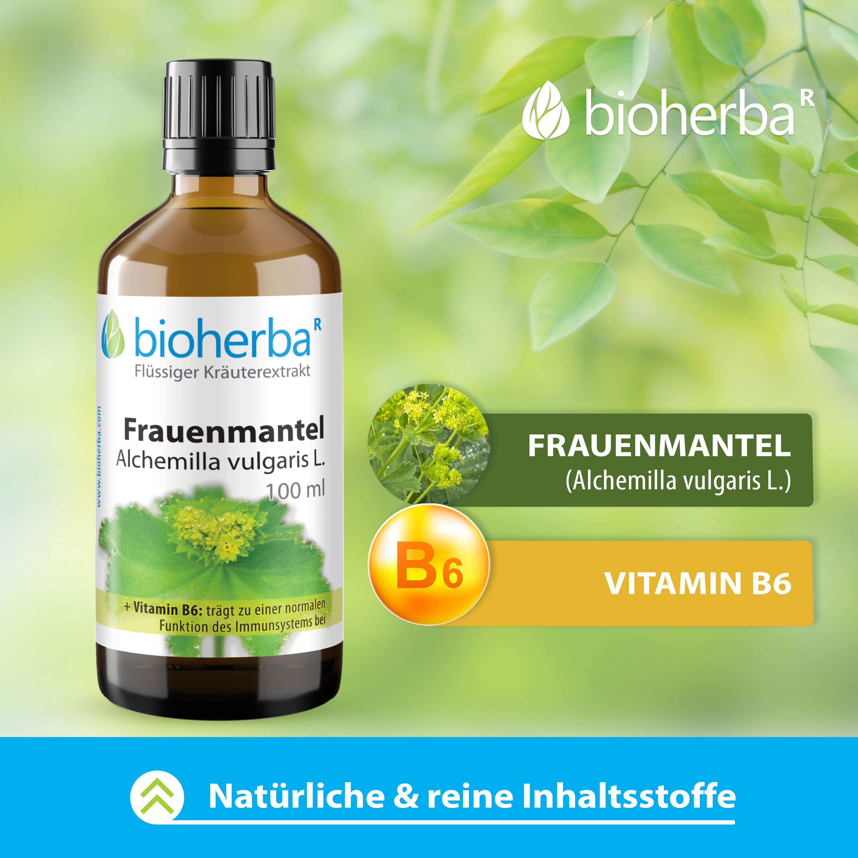 Braune Glasflasche mit schwarzem Deckel. Etikett mit Bioherba Frauenmantel, Alchemilla vulgaris L. Extrakt, 100 ml. Vitamin B6.