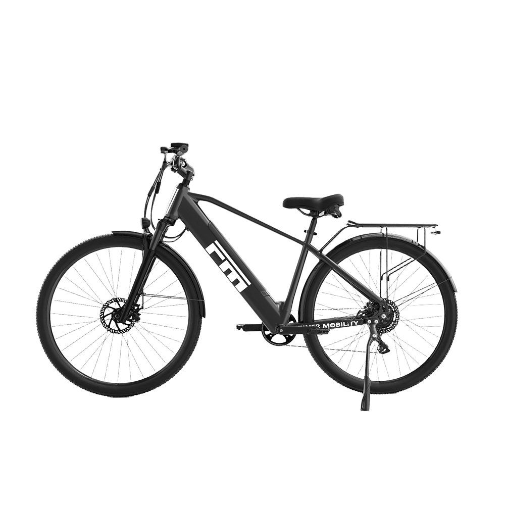 FM M1 E-Bike mit tiefem Einstieg, 36V 250W Motor & 36V 13Ah Akku
