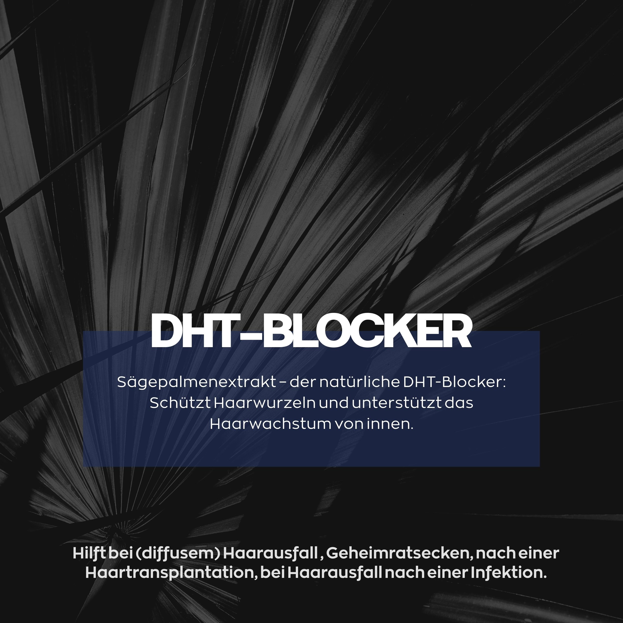 Blauer Hintergrund mit Text: DHT-Blocker. Text über Sägepalmenextrakt. Hilft bei Haarausfall.