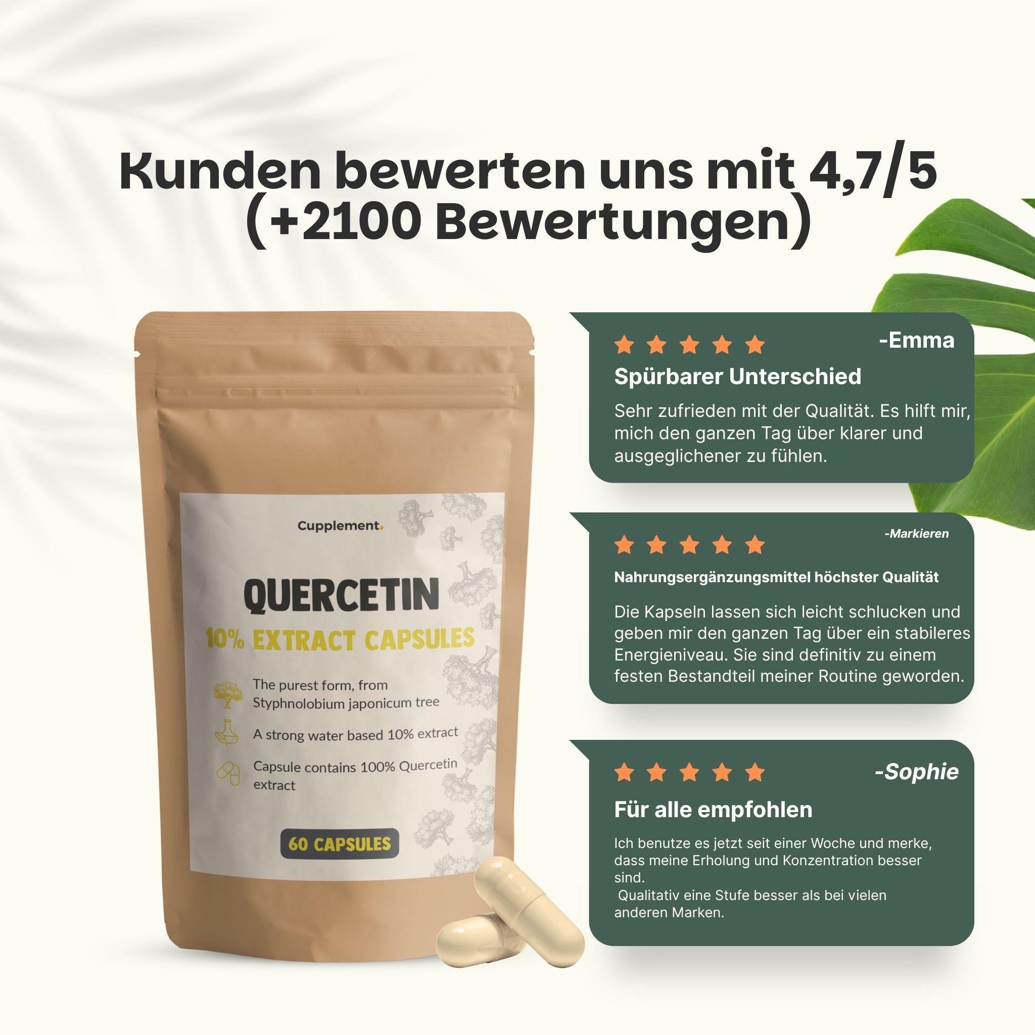 Vergleich: Quercetin Kapseln vs. andere Anbieter. Kraftbeutel, vegane Kapseln, vs. Plastikverpackung, Gelatine.
