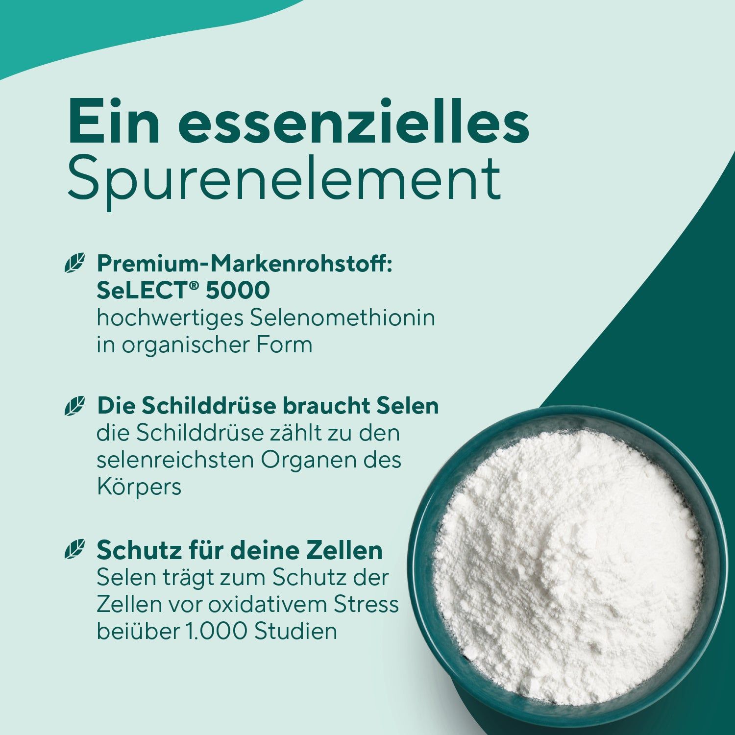 TRUE NATURE Selen Kapseln: Weißes Pulver in einer Schale. Text beschreibt Selen als Spurenelement, Seleenmethionin und Schutz für Zellen.