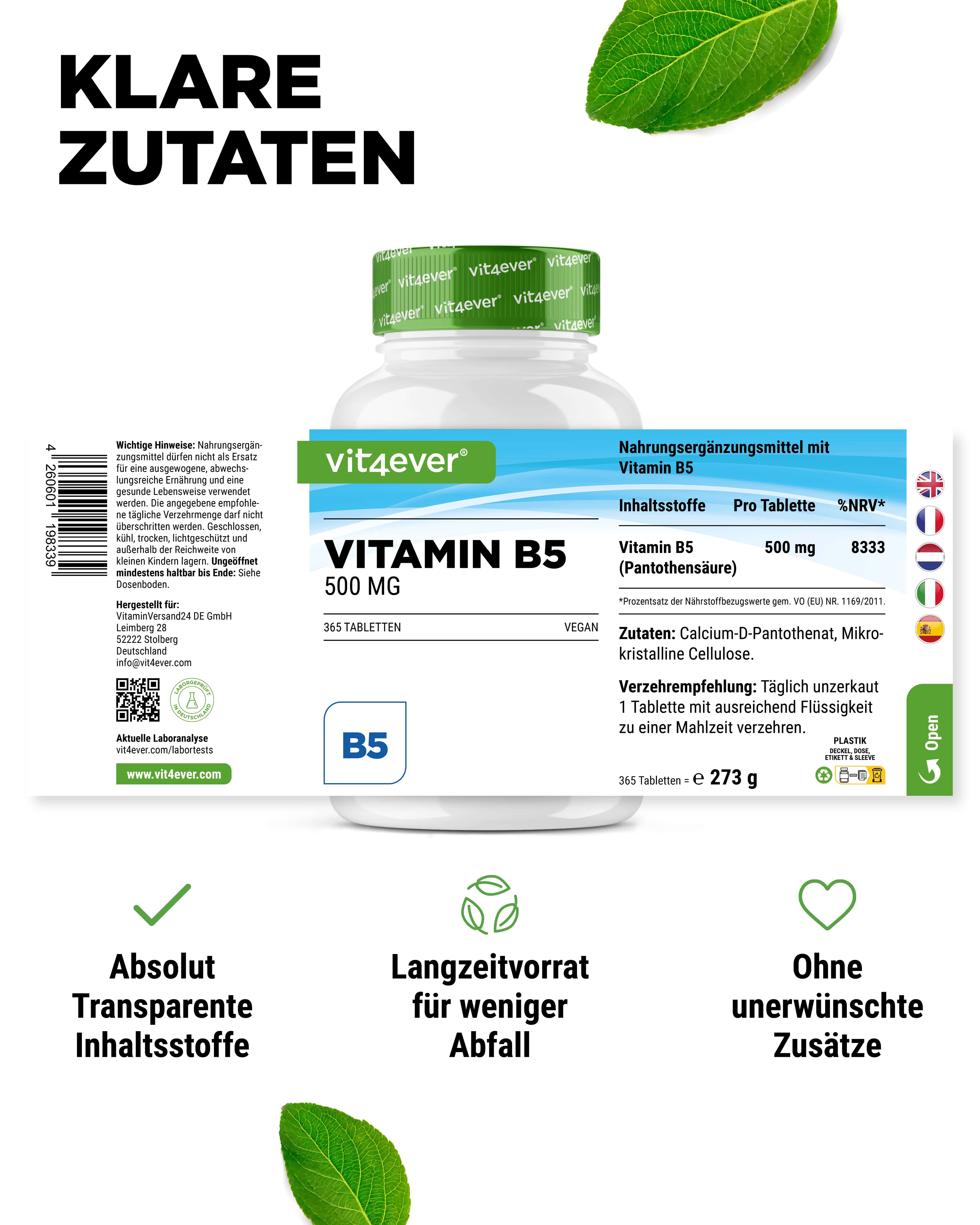 Produktflasche mit Text und Icons. Text: Vitamin B5, 500 mg, 365 Tabletten. Icons: transparente Inhaltsstoffe, Langzeitvorrat, ohne Zusätze.