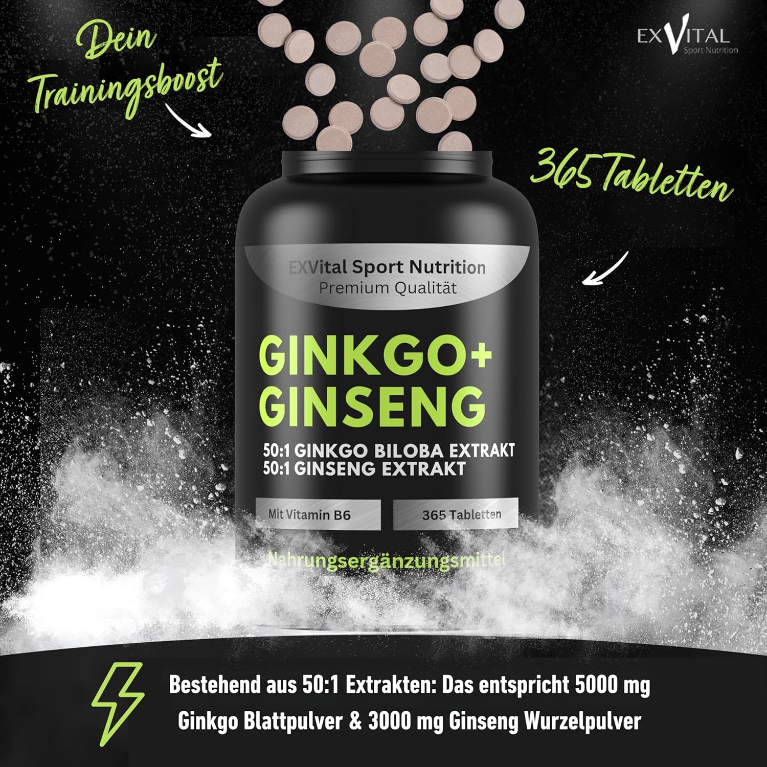 Werbebild mit EXVital Ginkgo+Ginseng Flasche und Tabletten. Text: 365 Tabletten, 50:1 Extrakte, Nahrungsergänzungsmittel.