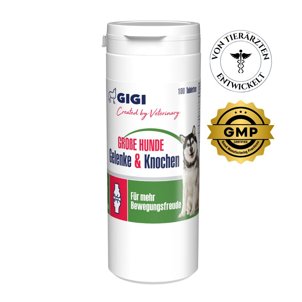 Weiße Flasche mit GIGI VET Große Hunde Gelenke & Knochen. Aufschrift: 100 Tabletten. Siegel: Von Tierärzten entwickelt, GMP.