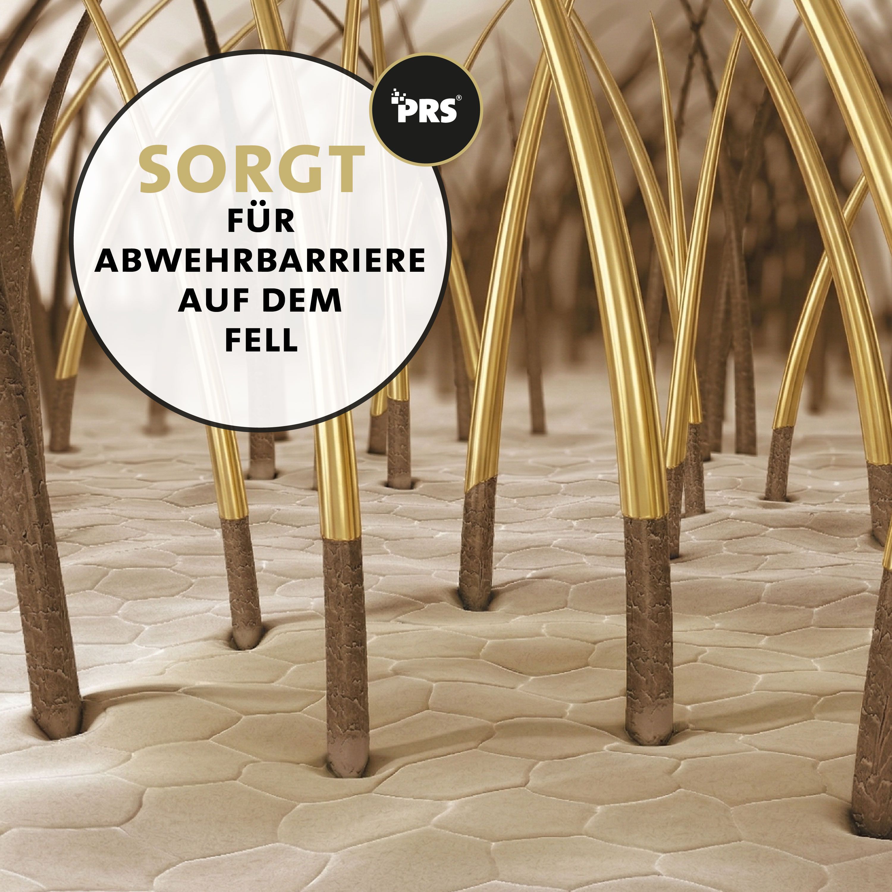 Peticare Zeckenspray für Hunde & Katzen, Sofort-Abwehr gegen Zecken & Parasiten mit Repellent-Effekt