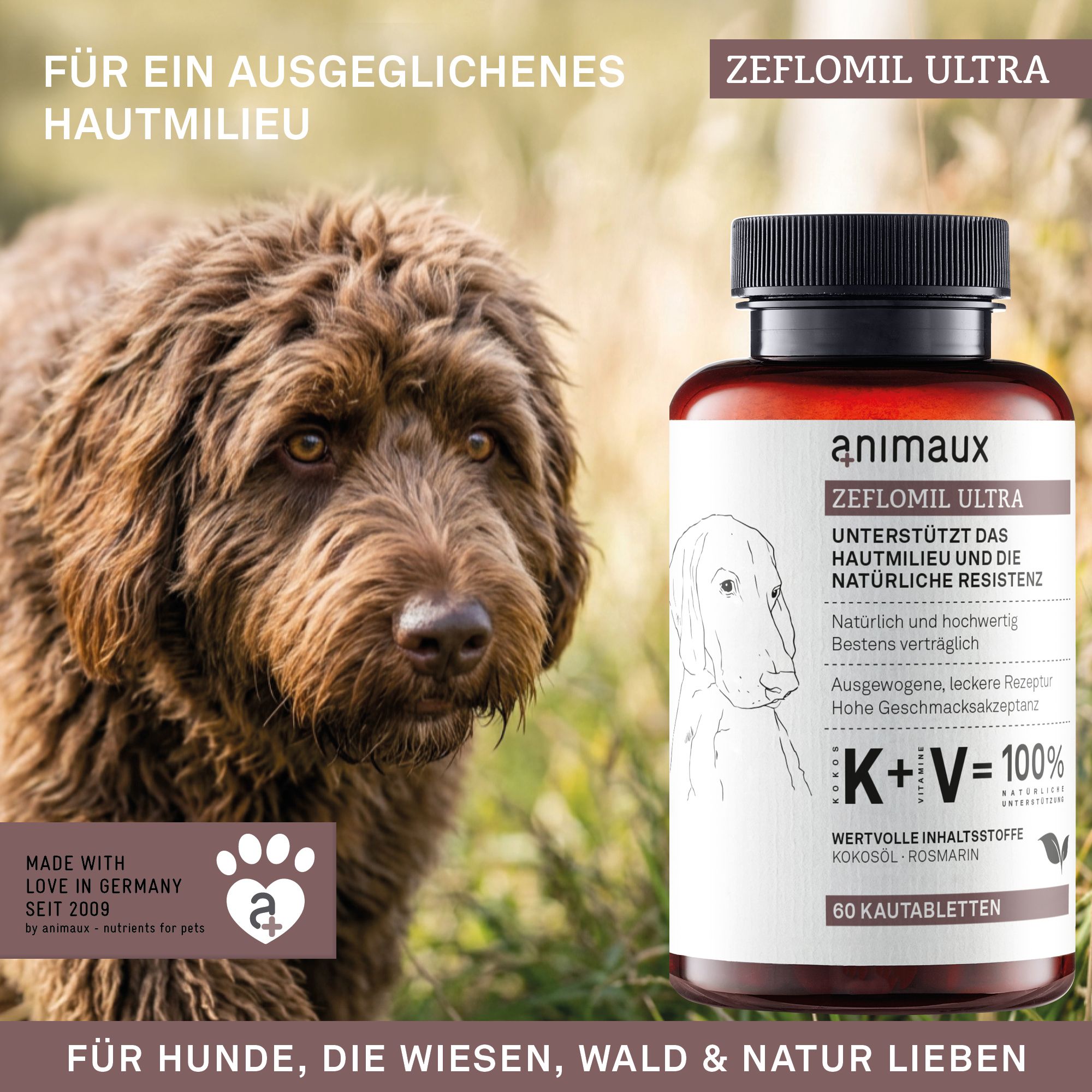 Flasche mit Kautabletten neben einem Hund, mit Text über Hautmilieu und natürliche Resistenz.