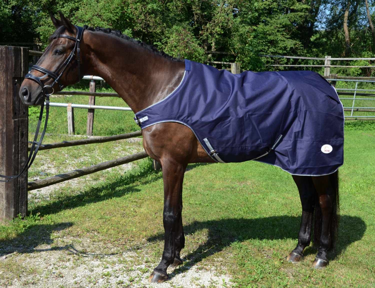 Pferdedecke, dunkelblau mit weißem Rand, auf einem Pferd.