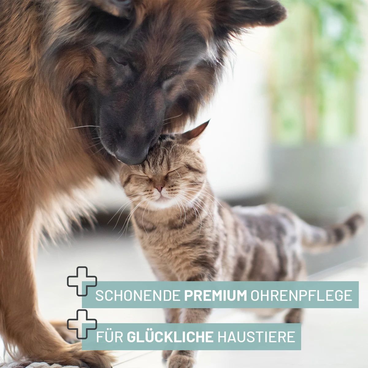 Hund und Katze kuscheln. Text: Schonende Premium Ohrenpflege, für glückliche Haustiere.