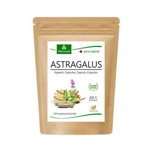 MoriVeda® - Astragalus Kapseln