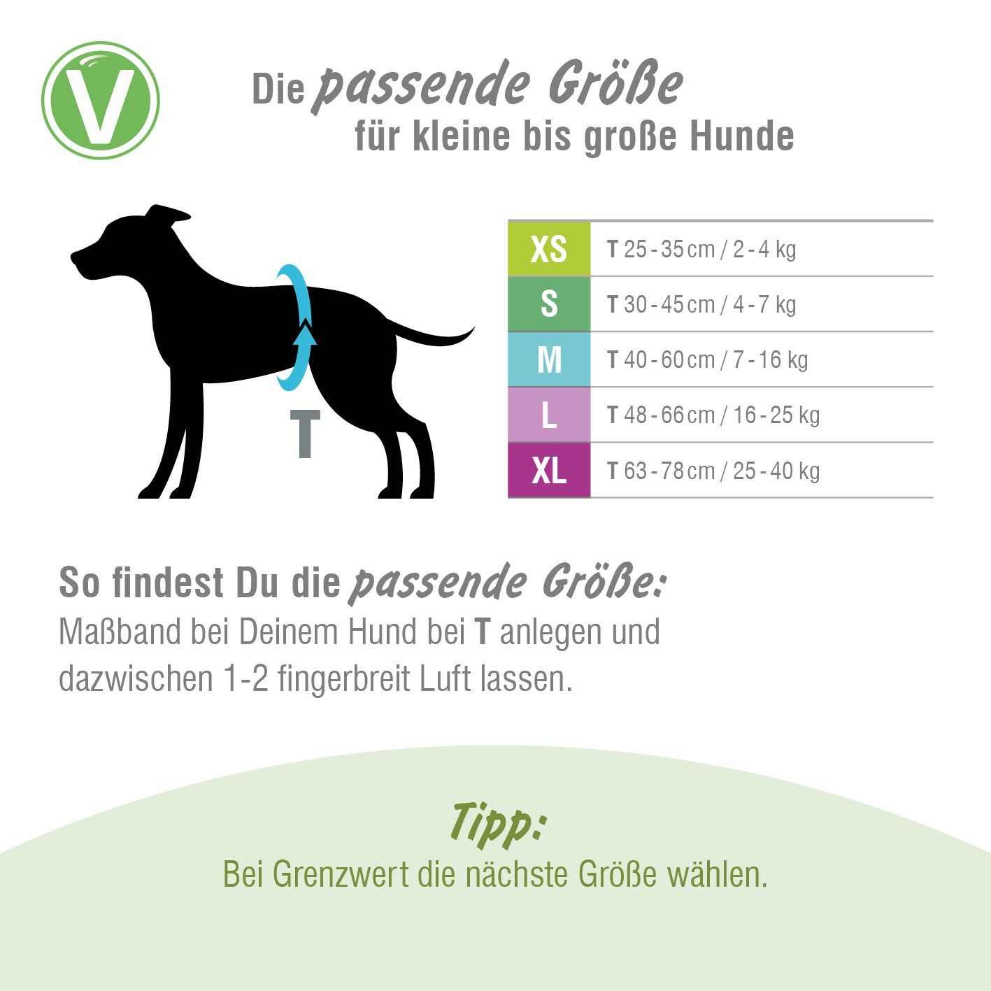 Größentabelle für Hündinnenwindeln. Größen XS-XL, Maße in cm und kg. Silhouette eines Hundes.