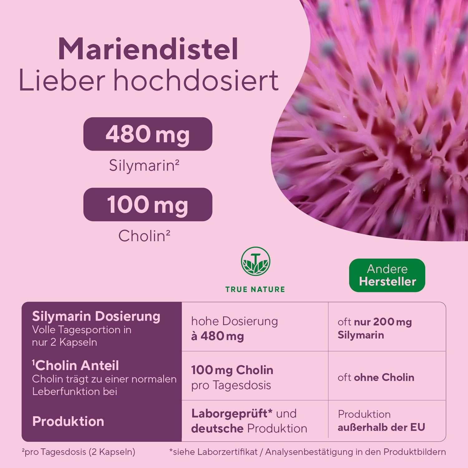 TRUE NATURE® Leber Komplex Kapseln - Mit Mariendistel, Cholin, Artischocke & Löwenzahn