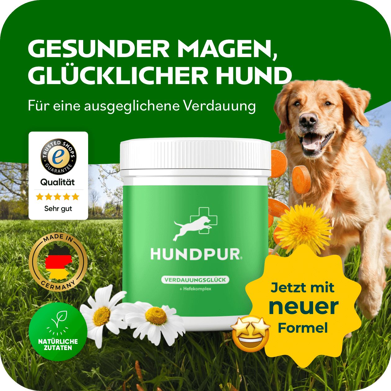 Produktglas mit grünem Etikett, Hund und Logo. Text: Gesunder Magen, glücklicher Hund. Siegel: Made in Germany, Natürliche Zutaten.
