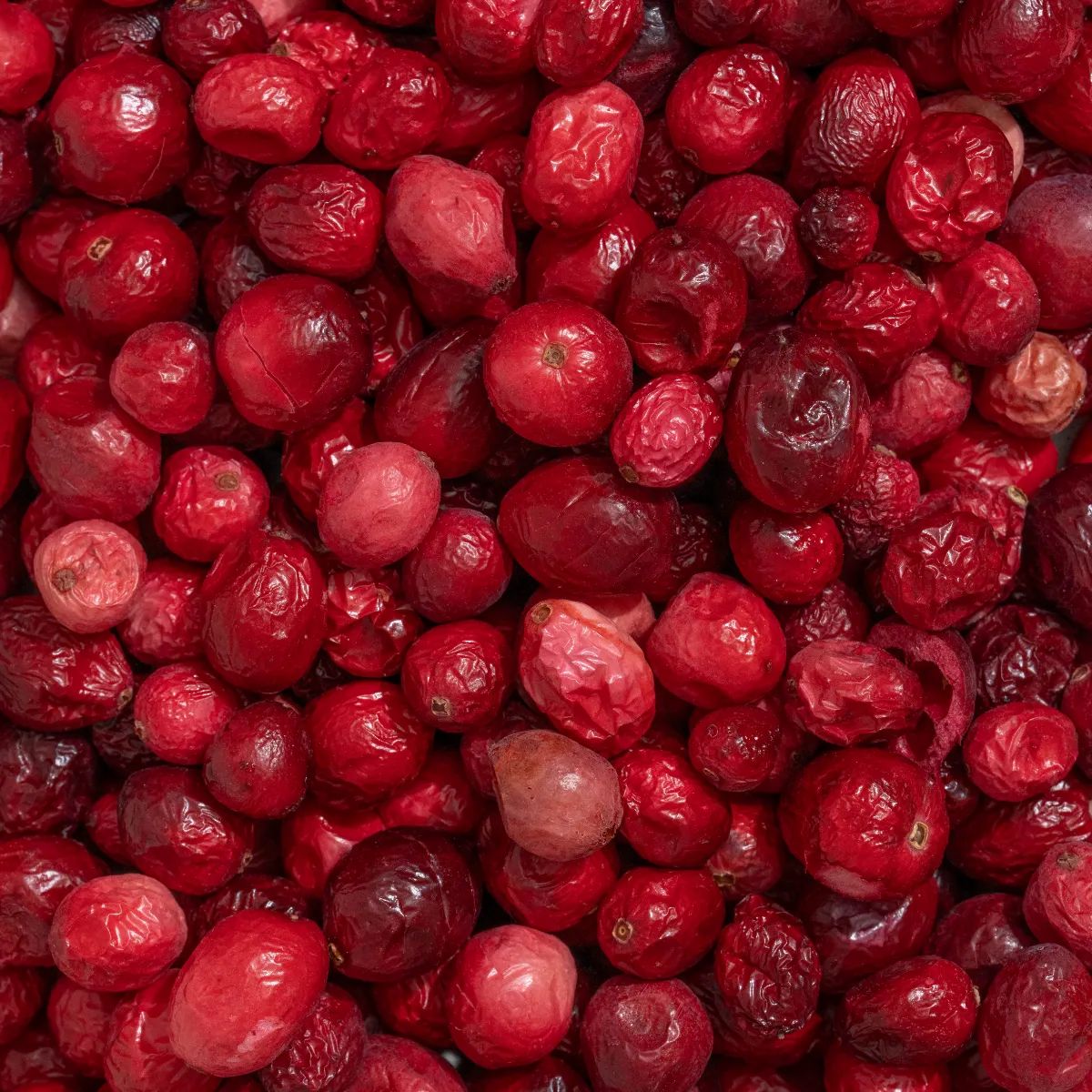 Nahaufnahme von gefriergetrockneten Cranberrys. Rote, runde Früchte mit runzeliger Oberfläche.