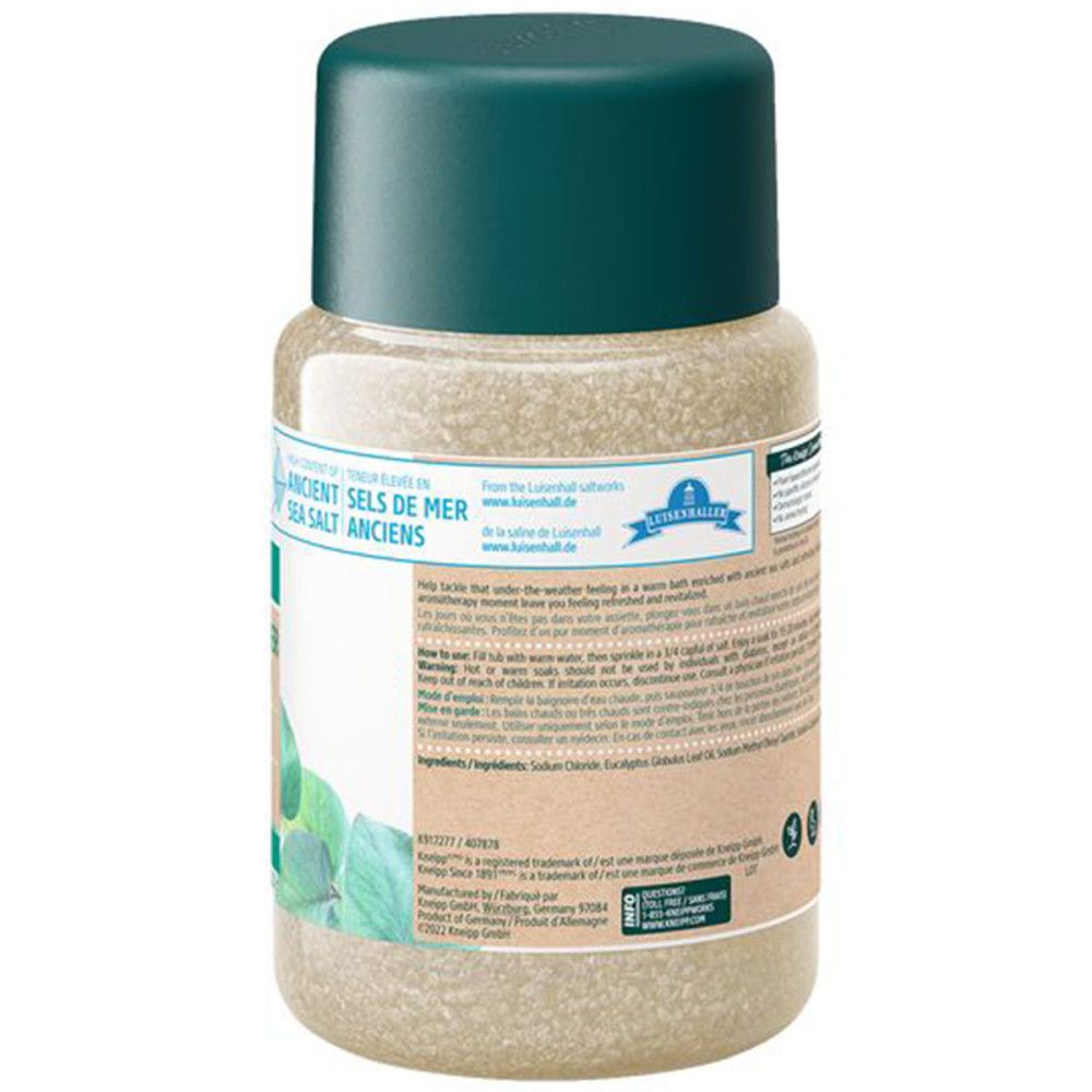 Rückseite der Badesalzdose. Etikett mit Produktinformationen, Inhaltsstoffen und Kneipp-Logo. Grüner Deckel.