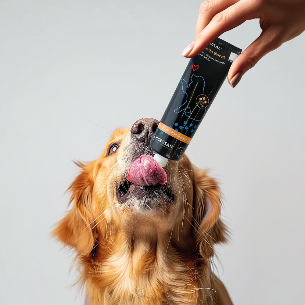 entoVITAL DOG vitamin boost