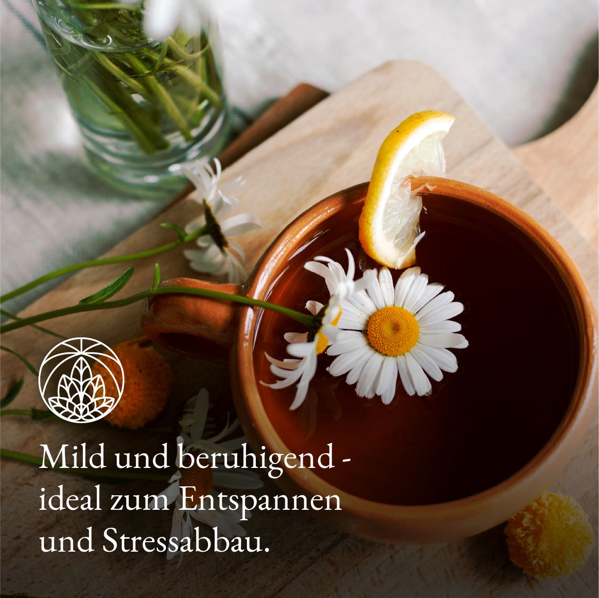 Monte Nativo Kamillenblüten Kräutertee lose