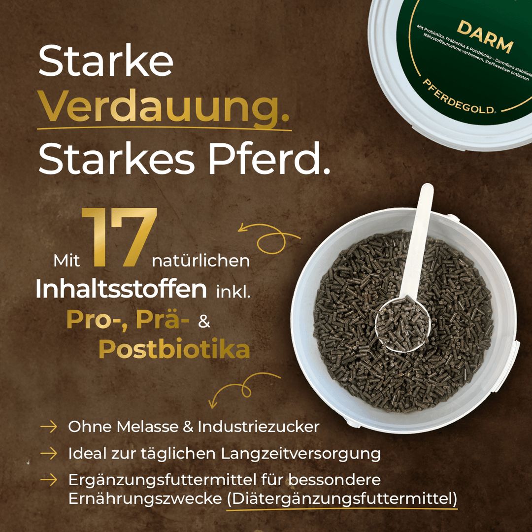 Offener Eimer mit Pellets und Schaufel. Text: "Starke Verdauung. Starkes Pferd. Mit 17 natürlichen Inhaltsstoffen."